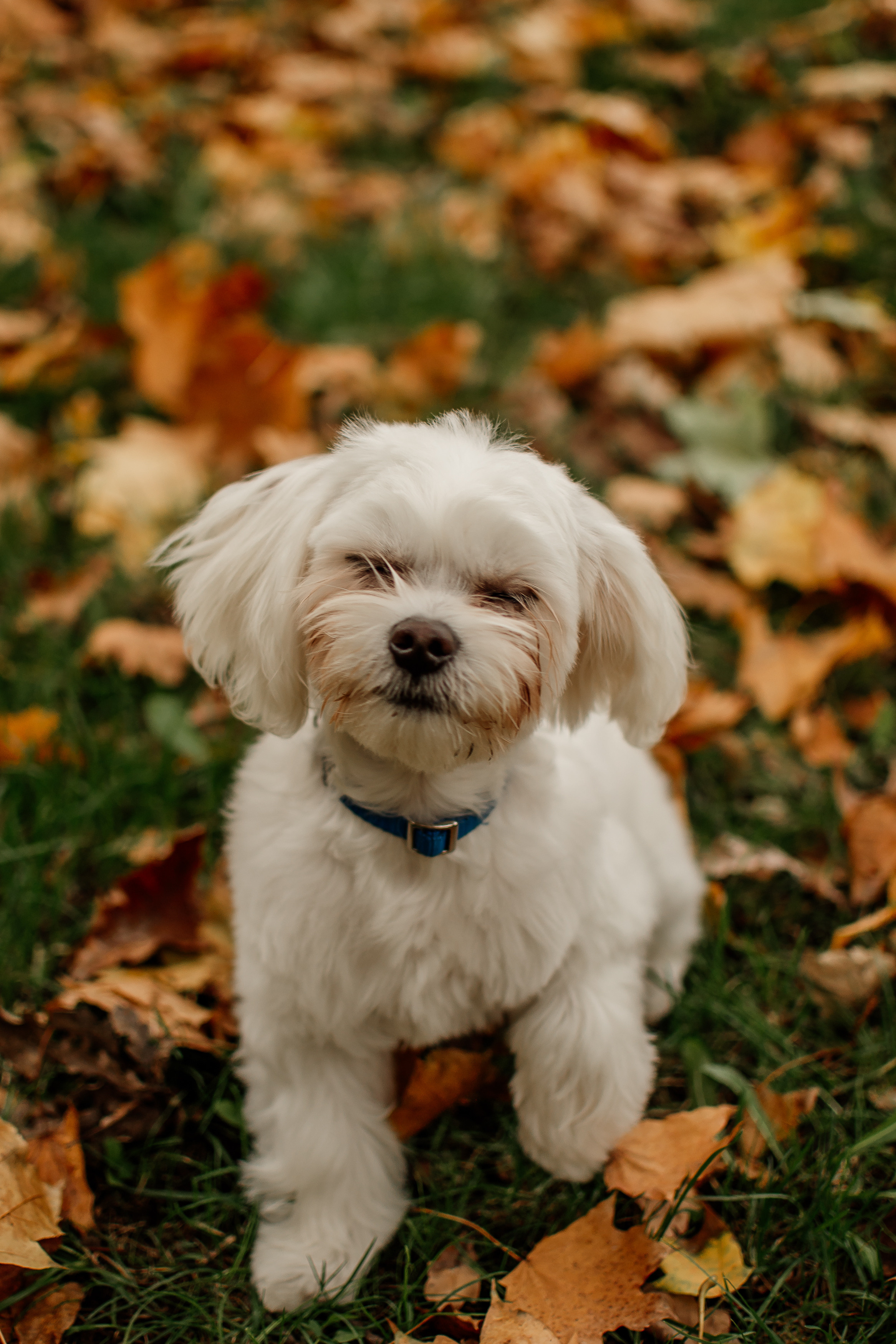 Yana. Сімейний, дитячий та індивідуальний фотограф в м. Тернопіль, м. Львів