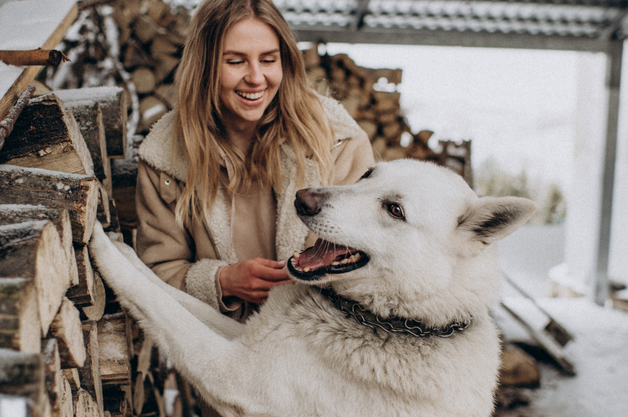 Зйомка з собакою Oleksandra & Volt. Сімейний, дитячий та індивідуальний фотограф в м. Тернопіль, м. Львів
