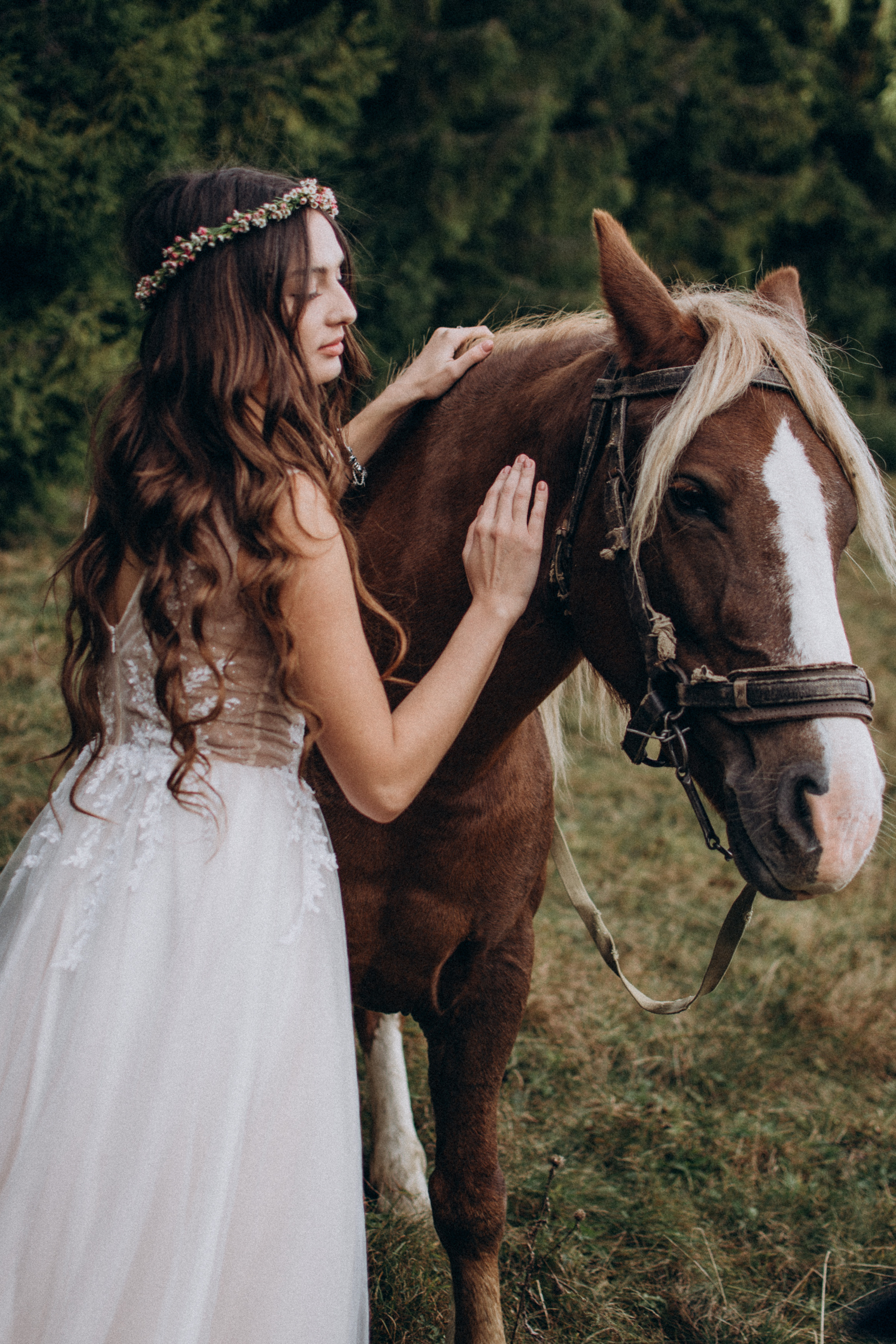 Весільна прогулянка в осінніх Карпатах. Сімейний, дитячий та індивідуальний фотограф в м. Тернопіль, м. Львів