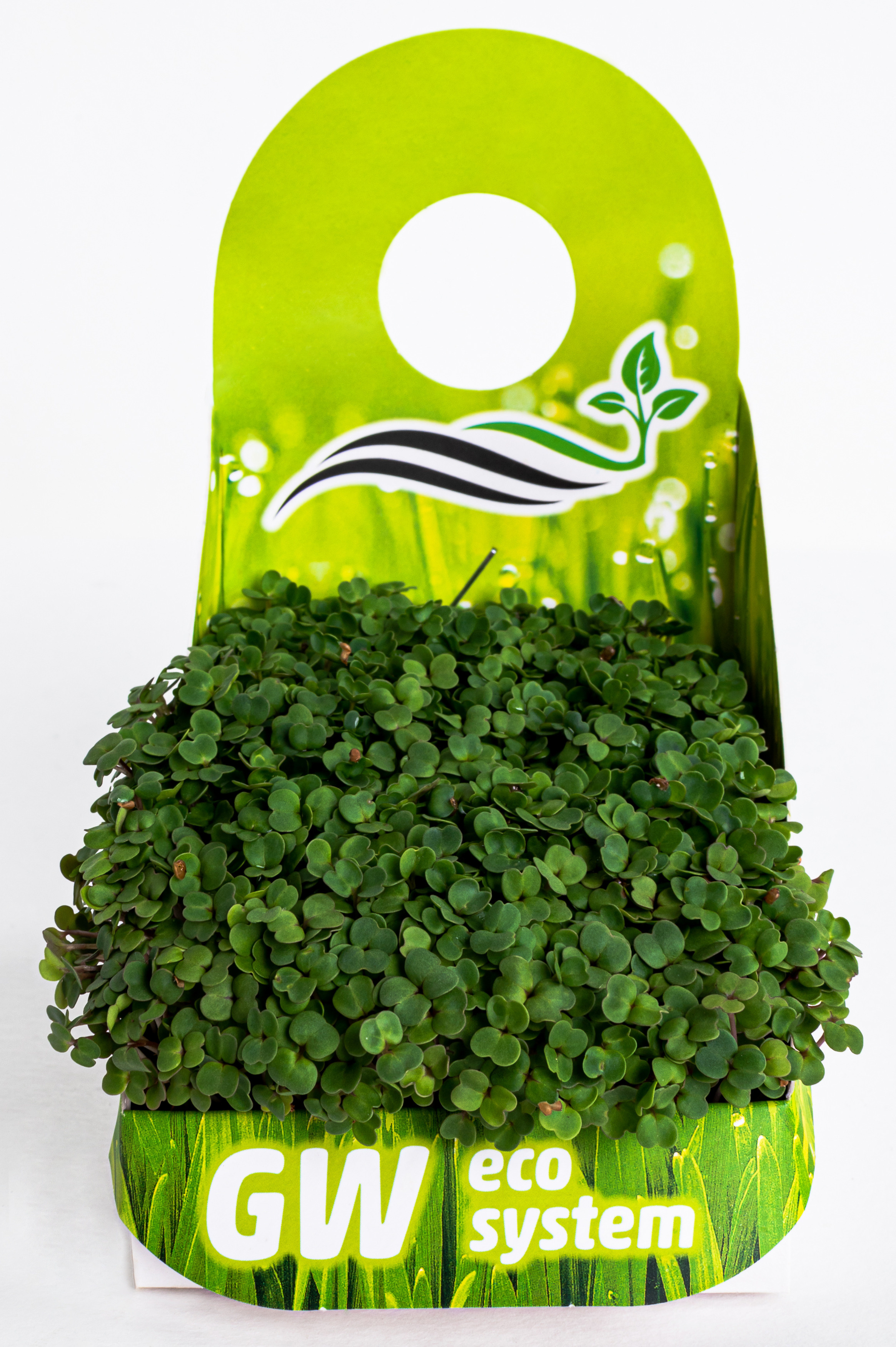 Предметні фото. Сімейний, дитячий та індивідуальний фотограф в м. Тернопіль, м. Львів