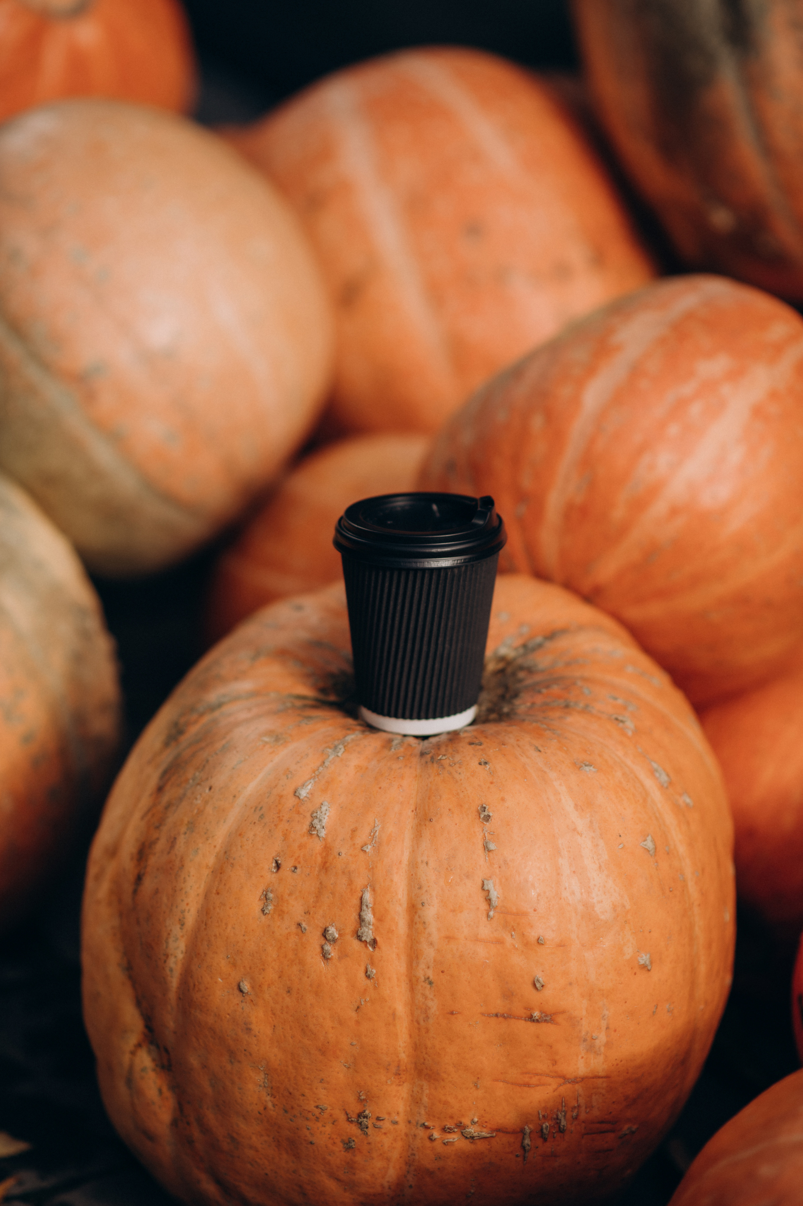 Контент зйомка для таргетолога. Сімейний, дитячий та індивідуальний фотограф в м. Тернопіль, м. Львів