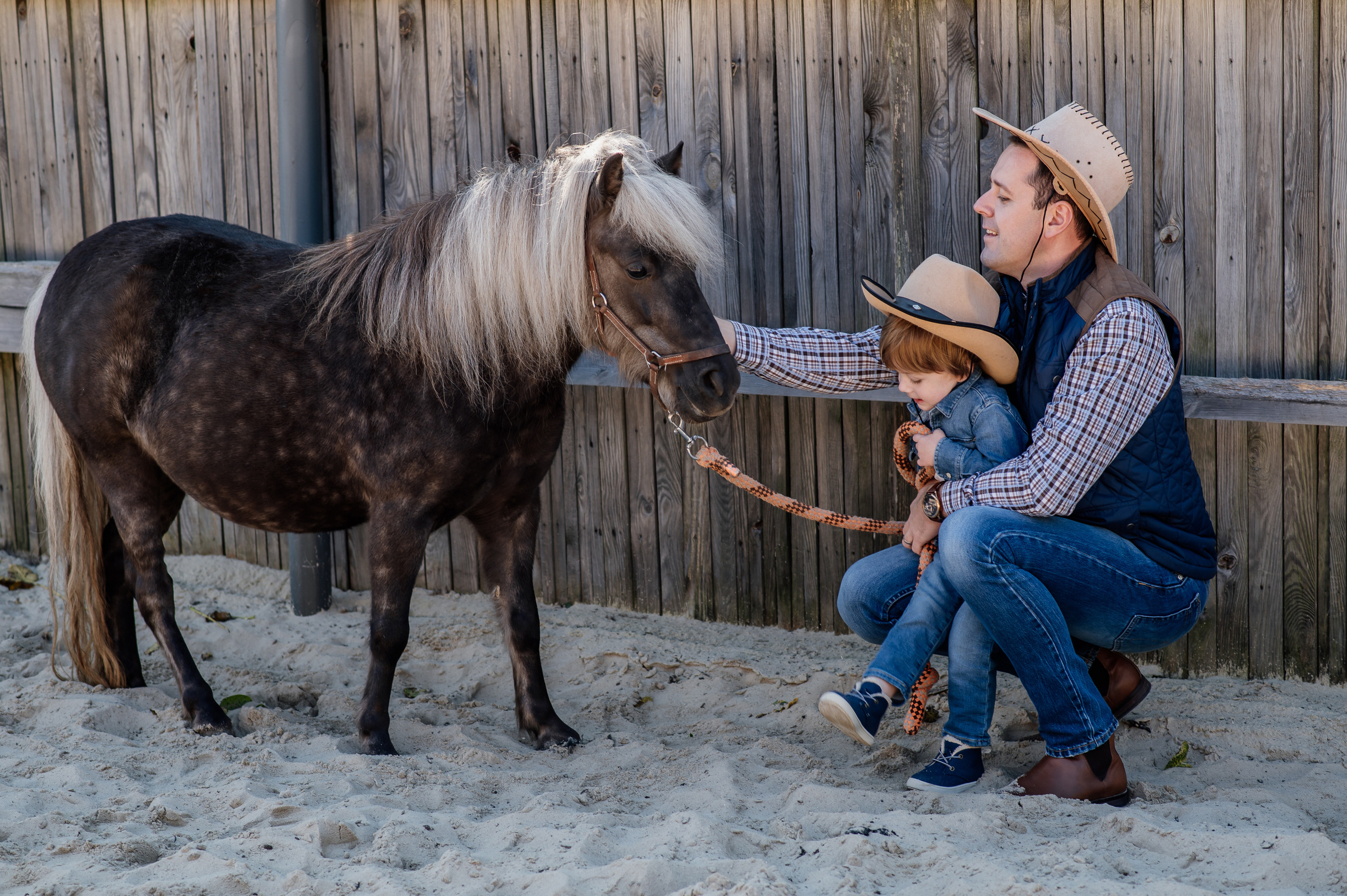 Сімейна фотосесія з кониками. Тернопіль. Сімейний, дитячий та індивідуальний фотограф в м. Тернопіль, м. Львів