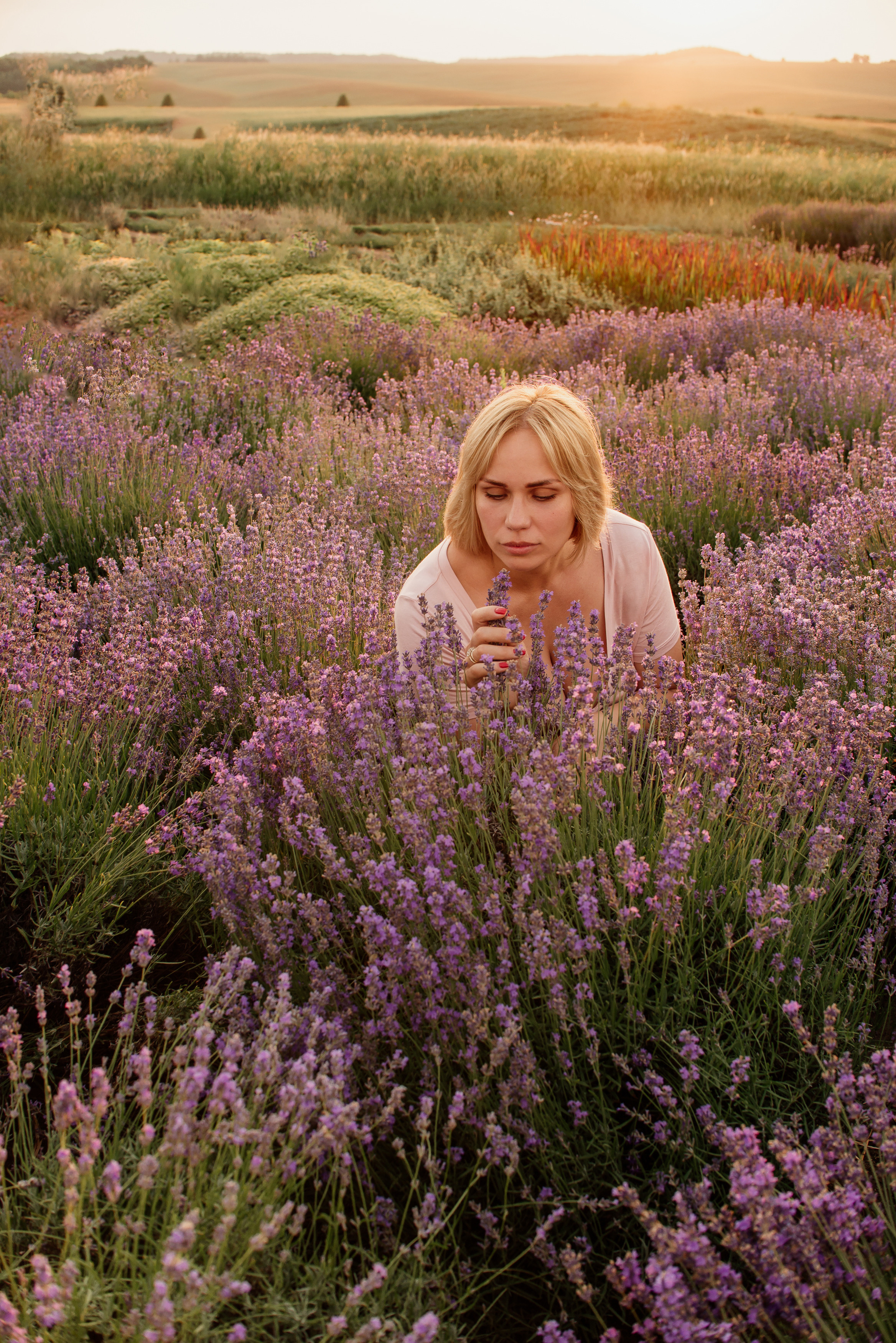 Сімейна фотосесія в лаванді. Микола, Христина, Марк, Макар, Меланія. Сімейний, дитячий та індивідуальний фотограф в м. Тернопіль, м. Львів