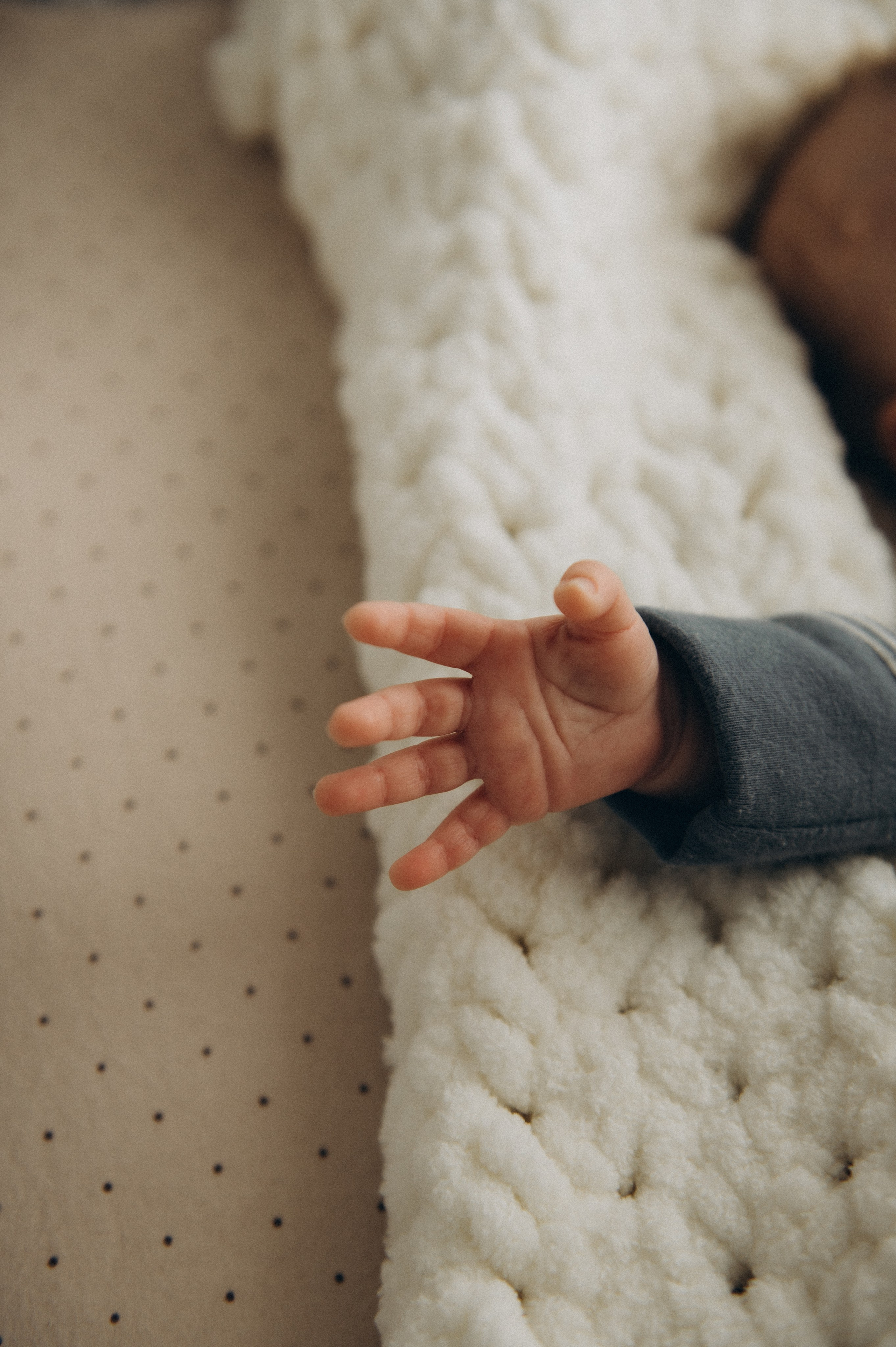 Сімейна фотосесія вдома Тернопіль, сімейний фотограф Львів Тернопіль, сімейна фотосесія Тернопіль, фотосесія двійні, зйомка близнюків. Сімейний, дитячий та індивідуальний фотограф в м. Тернопіль, м. Львів