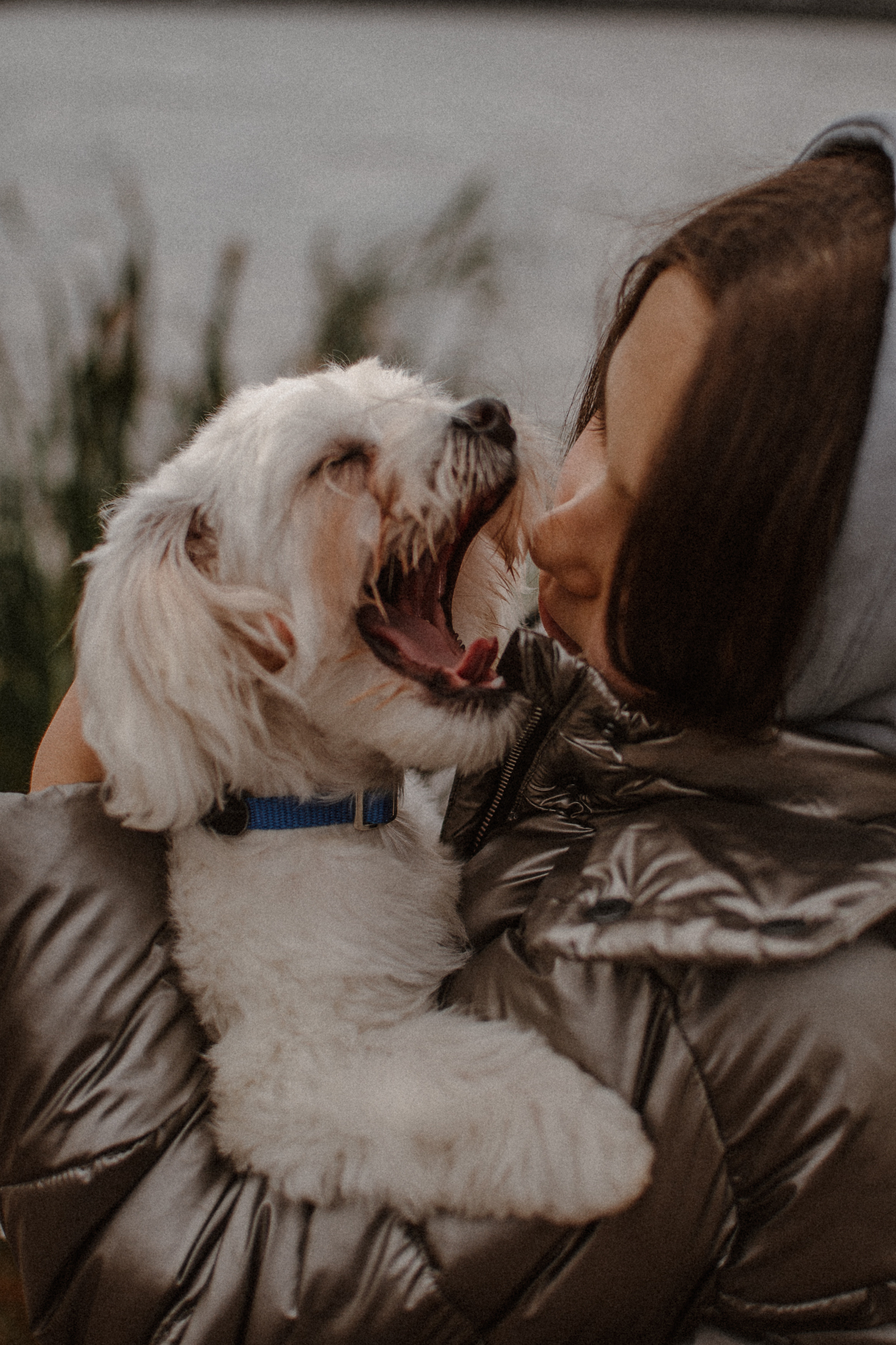 Yana. Сімейний, дитячий та індивідуальний фотограф в м. Тернопіль, м. Львів