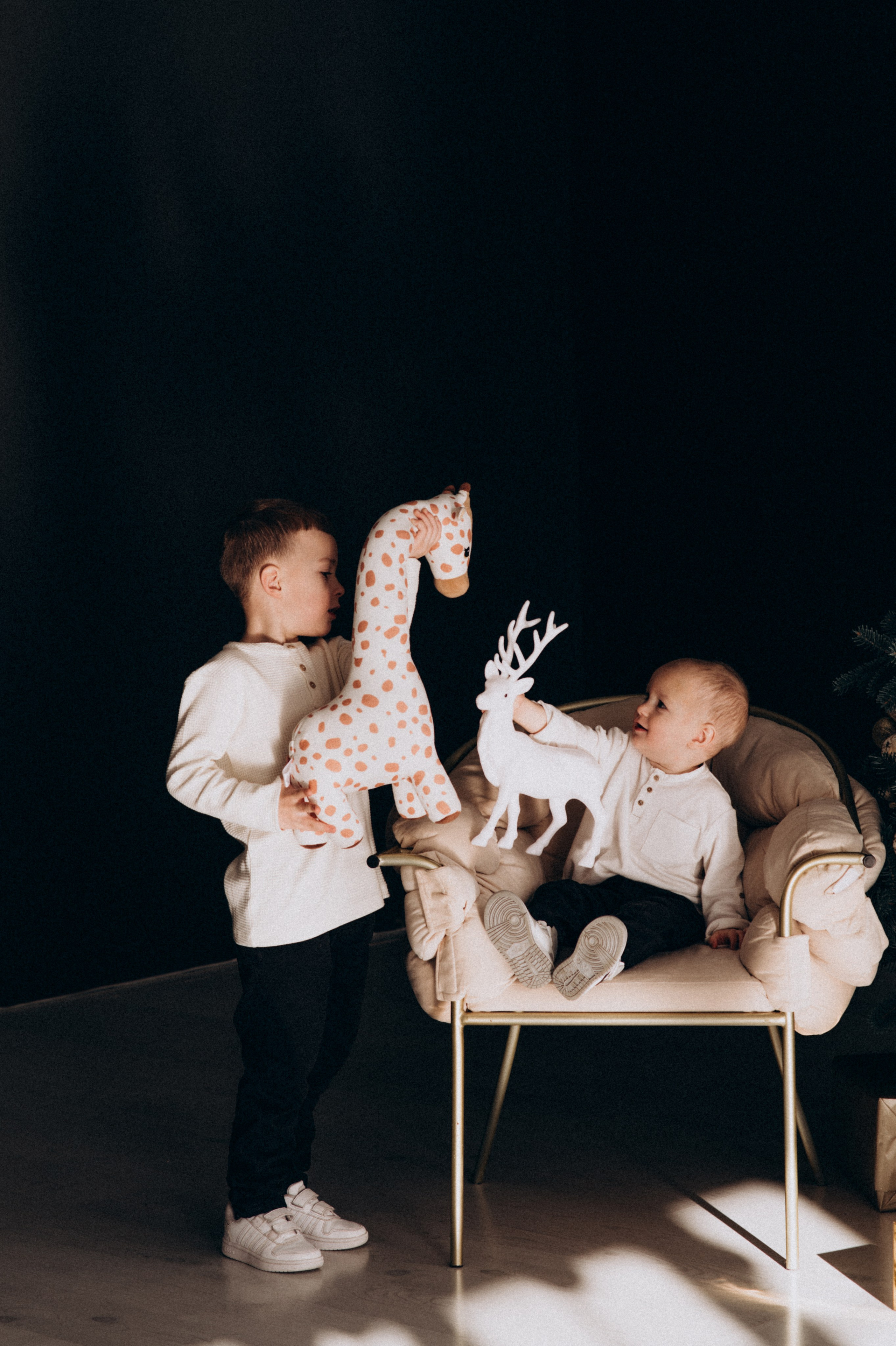 Новорічна фотосесія у студії, фотосесія Львів, сімейна фотосесія Тернопіль. Сімейний, дитячий та індивідуальний фотограф в м. Тернопіль, м. Львів