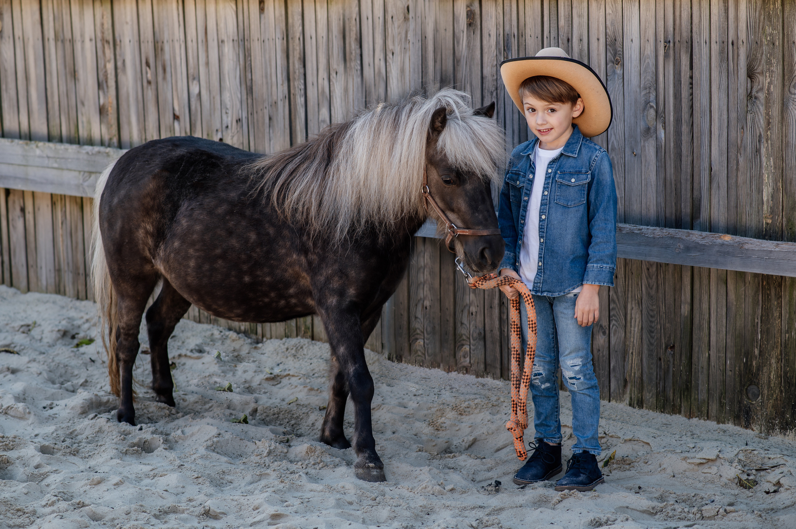 Сімейна фотосесія з кониками. Тернопіль. Сімейний, дитячий та індивідуальний фотограф в м. Тернопіль, м. Львів