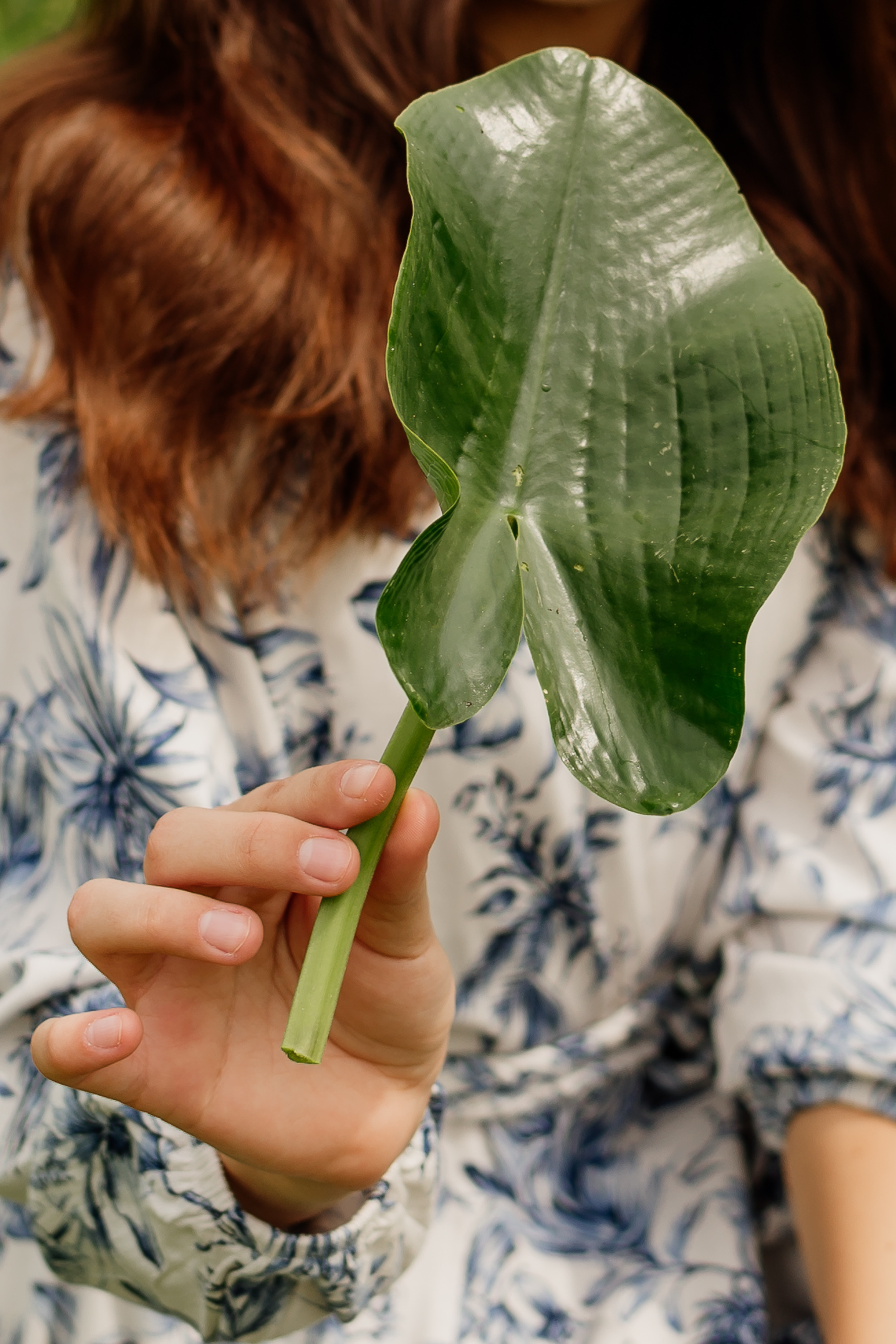 Індивідуальна фотосесія. Тернопіль. Сімейний, дитячий та індивідуальний фотограф в м. Тернопіль, м. Львів