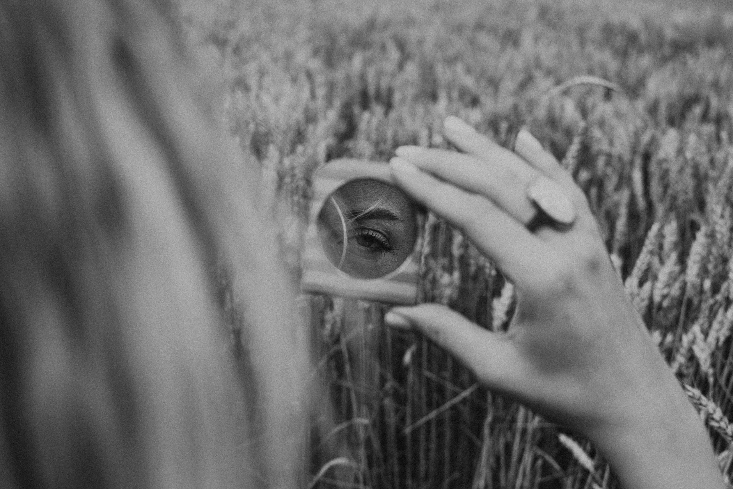 Фотосесія в пшениці. Тернопільська обл. Сімейний, дитячий та індивідуальний фотограф в м. Тернопіль, м. Львів