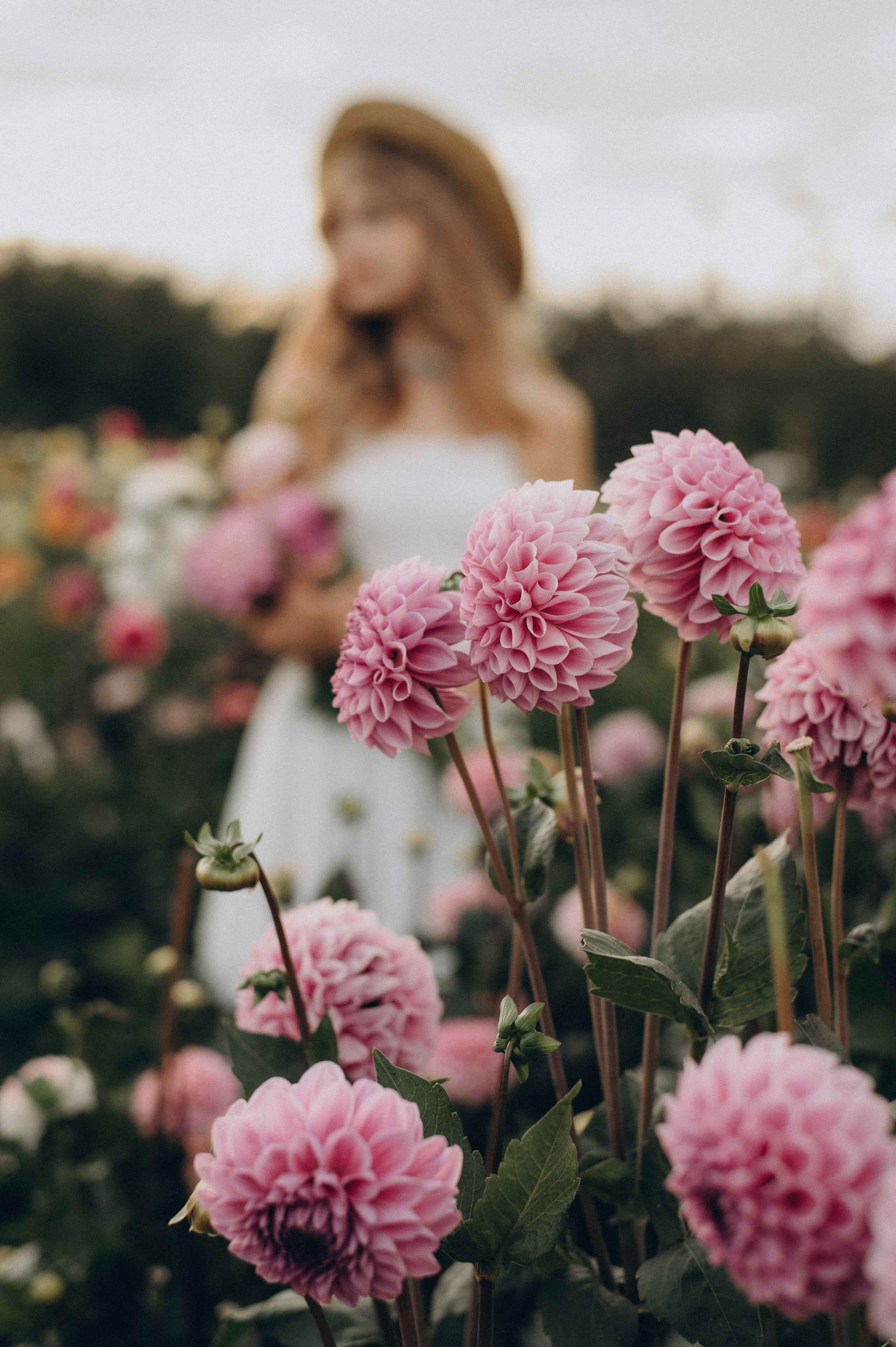 Сімейна фотосесія мами і доньки, сімейний фотограф Тернопіль, портретний фотограф, сімейна фотосесія Тернопіль, фотосесія в жоржинах. Сімейний, дитячий та індивідуальний фотограф в м. Тернопіль, м. Львів
