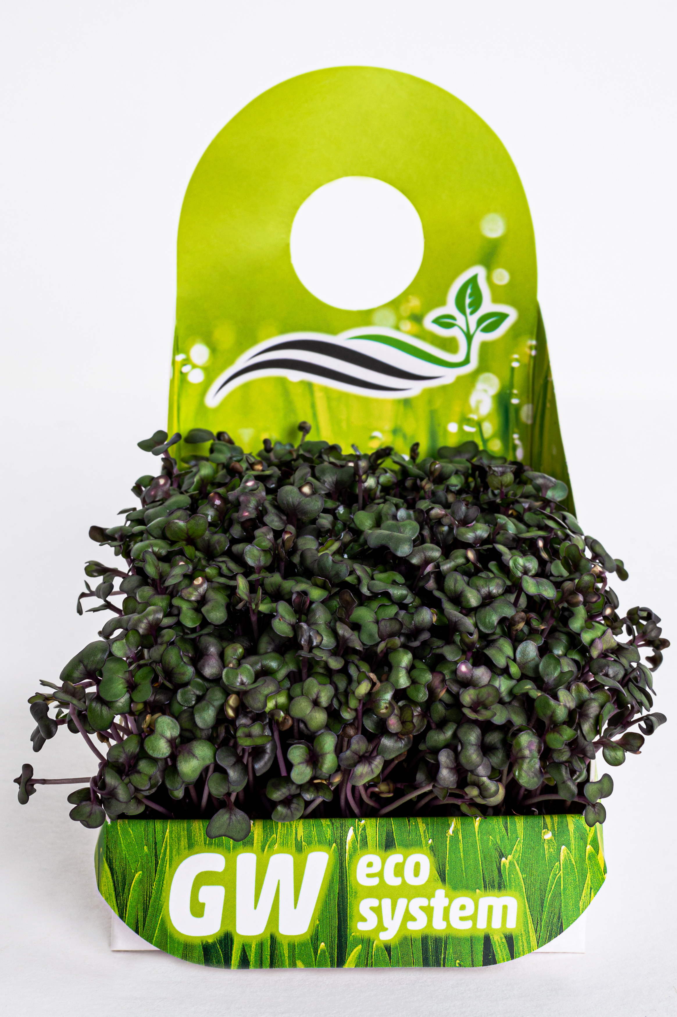 Предметні фото. Сімейний, дитячий та індивідуальний фотограф в м. Тернопіль, м. Львів