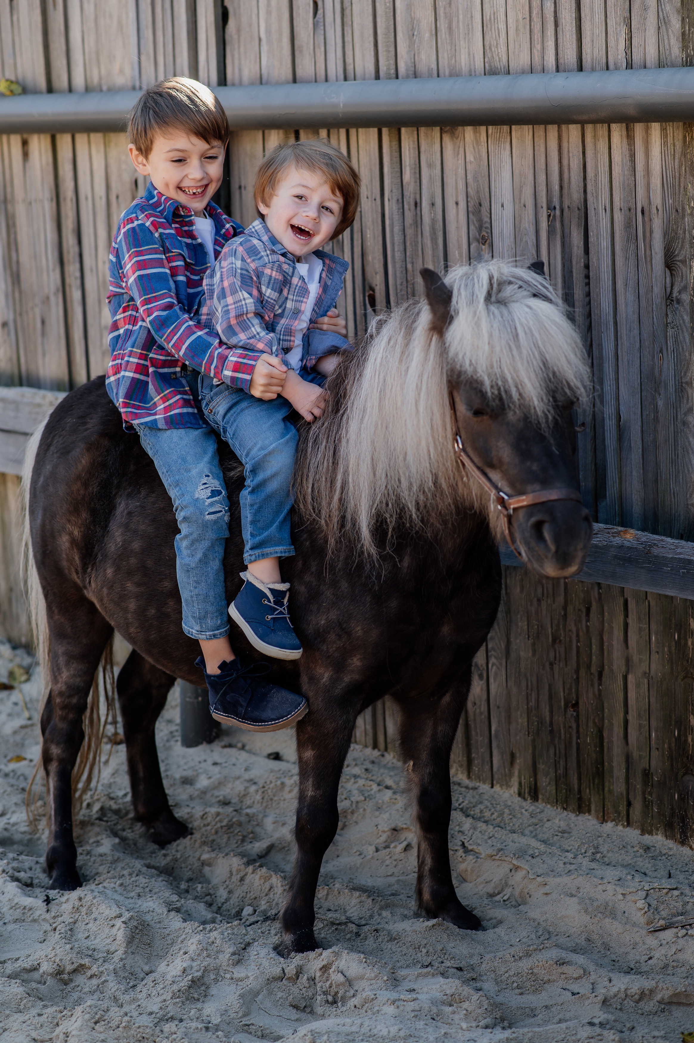 Сімейна фотосесія з кониками. Тернопіль. Сімейний, дитячий та індивідуальний фотограф в м. Тернопіль, м. Львів
