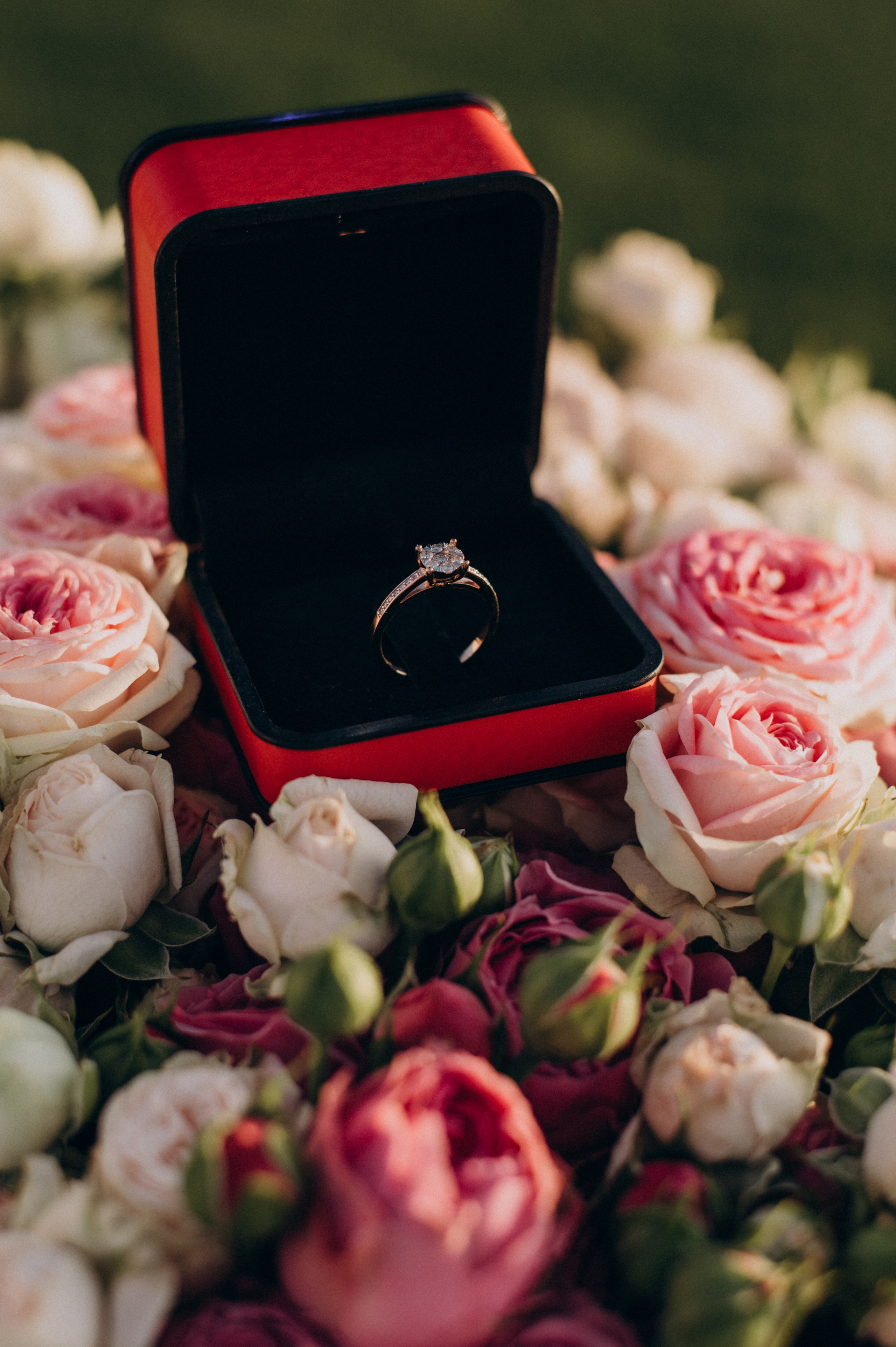 Фотосесія освідчення, фотосесія лавсторі, фотограф Тернопіль, зйомка освідчення. Сімейний, дитячий та індивідуальний фотограф в м. Тернопіль, м. Львів