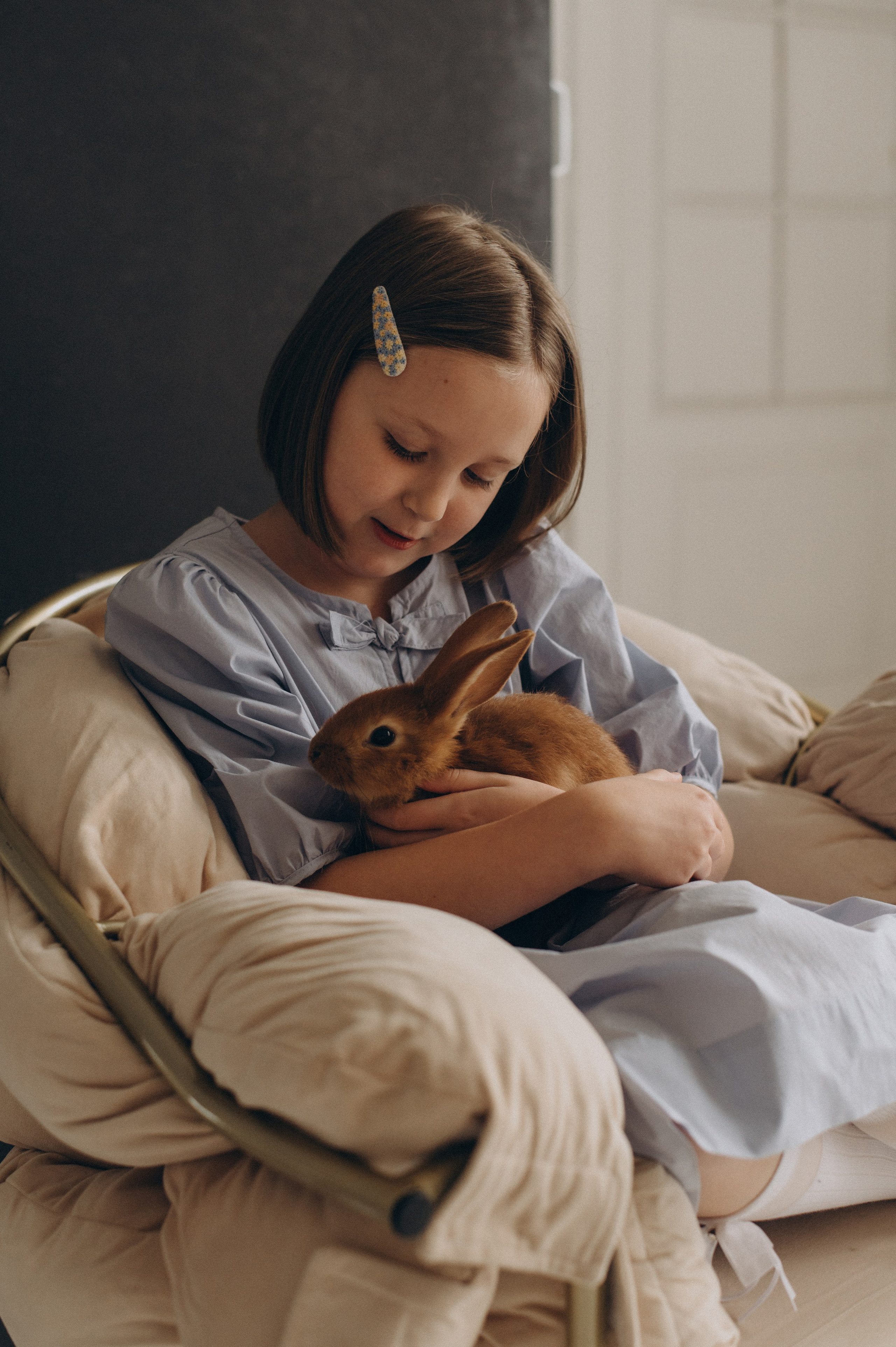 Фотосесія з кроликами, сімейний фотограф Тернопіль, дитячий фотограф Тернопіль, зйомка з кроликами Тернопіль. Сімейний, дитячий та індивідуальний фотограф в м. Тернопіль, м. Львів