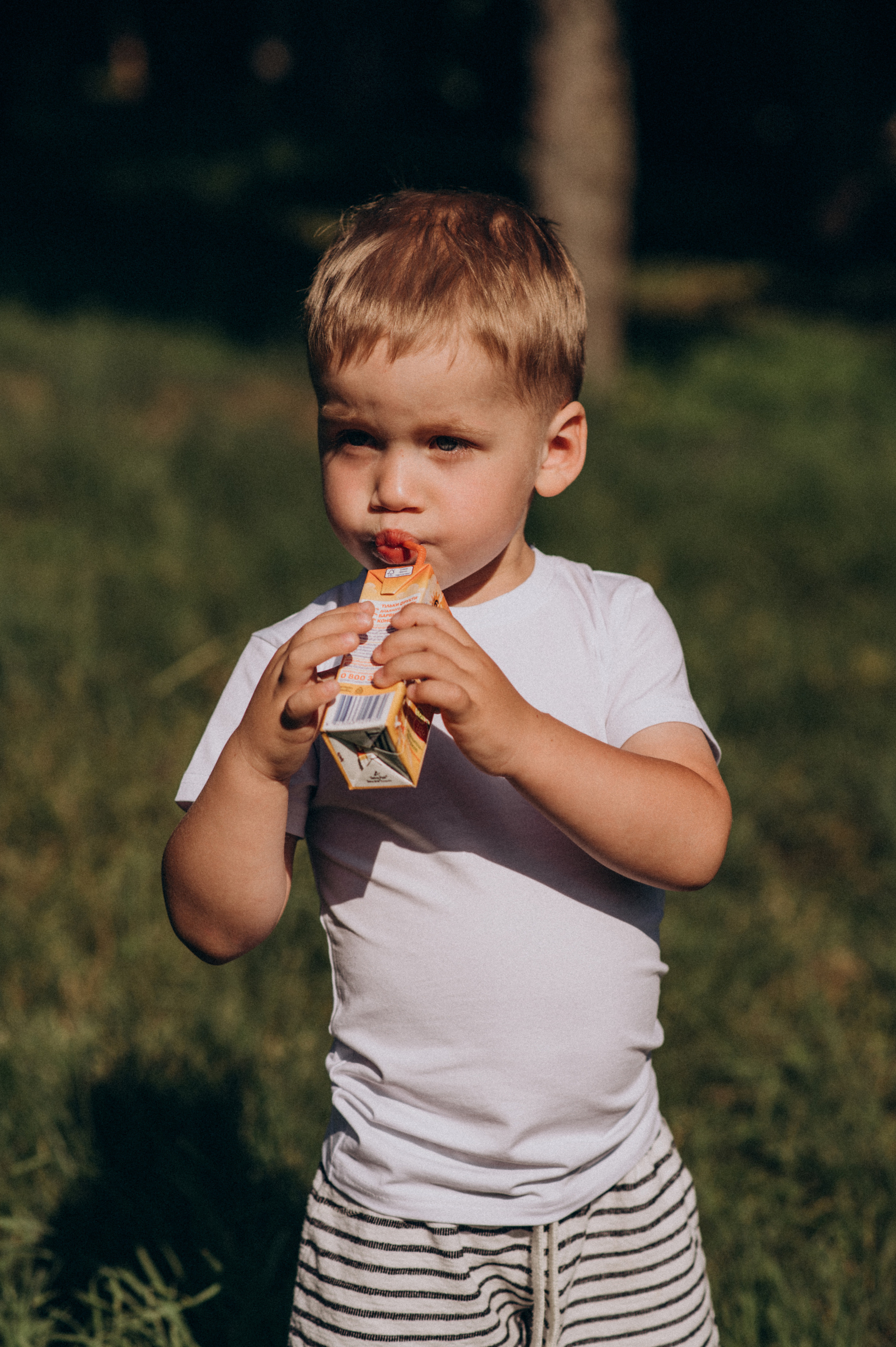 Сімейна літня фотосесія в парку, сімейний фотограф Тернопіль Львів. Сімейний, дитячий та індивідуальний фотограф в м. Тернопіль, м. Львів