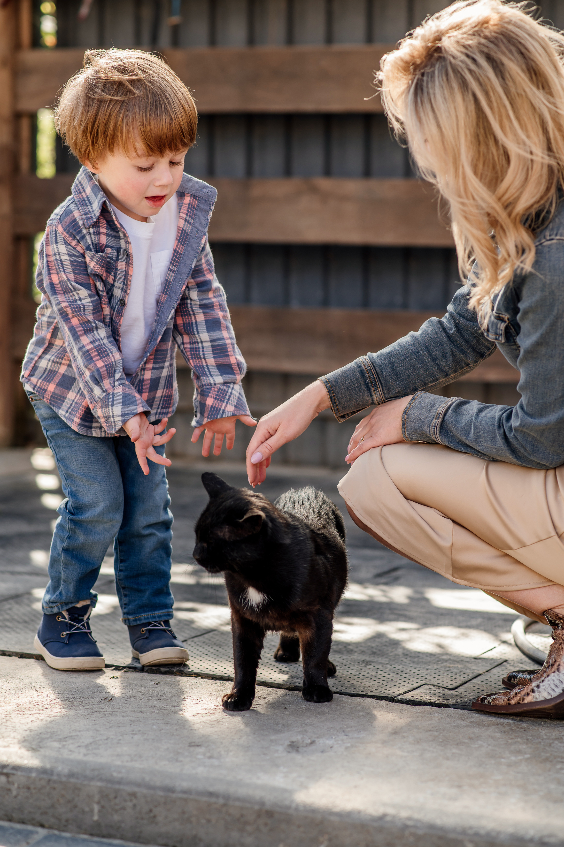 Сімейна фотосесія з кониками. Тернопіль. Сімейний, дитячий та індивідуальний фотограф в м. Тернопіль, м. Львів