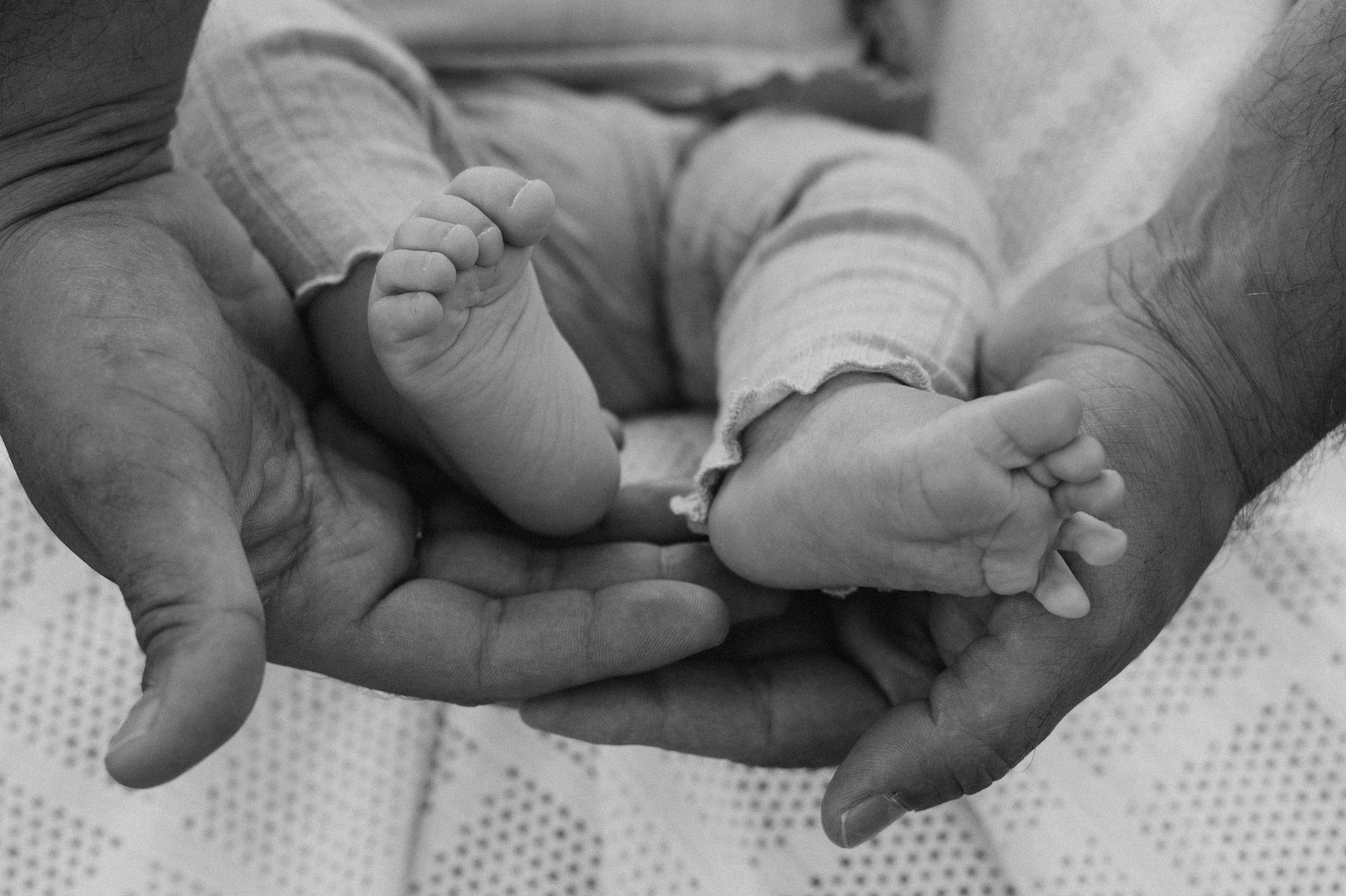 Сімейна фотосесія Тернопіль, Львів, дитячий фотограф, сімейний фотограф Тернопіль Львів. Сімейний, дитячий та індивідуальний фотограф в м. Тернопіль, м. Львів