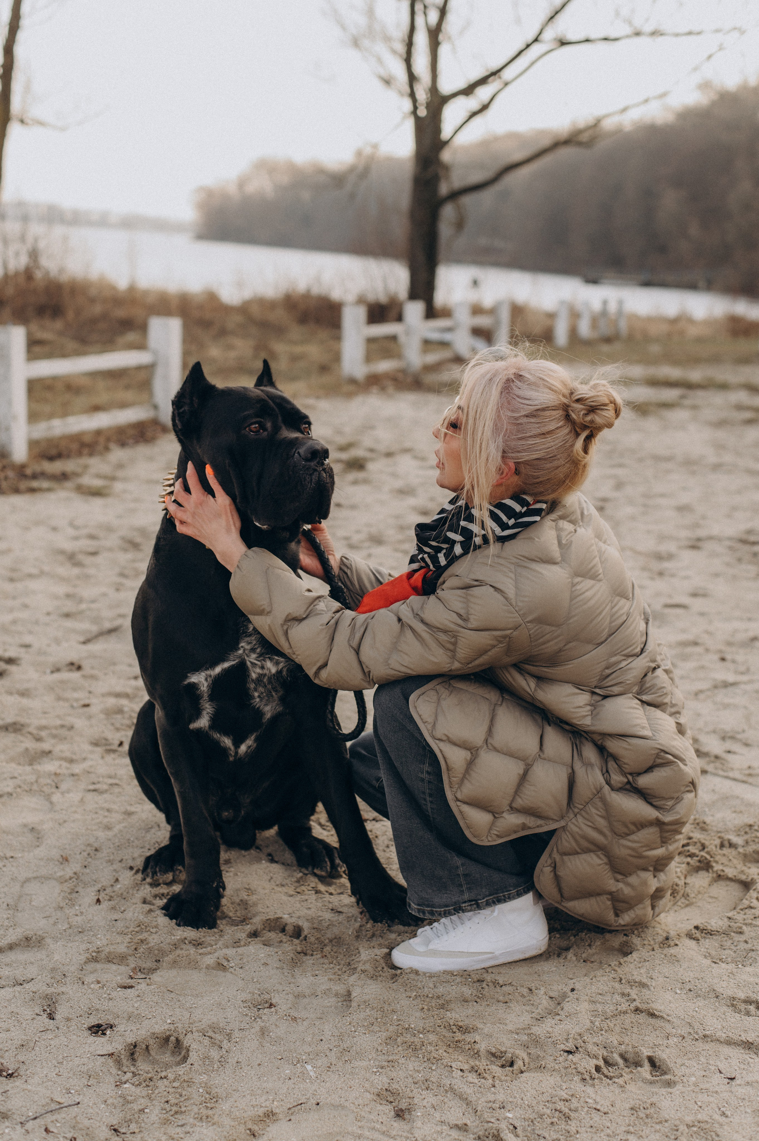 Фотосесія з собакою, зйомка з домашнім улюбленцем, фотосесія на природі Тернопіль, зйомка дівчат. Сімейний, дитячий та індивідуальний фотограф в м. Тернопіль, м. Львів