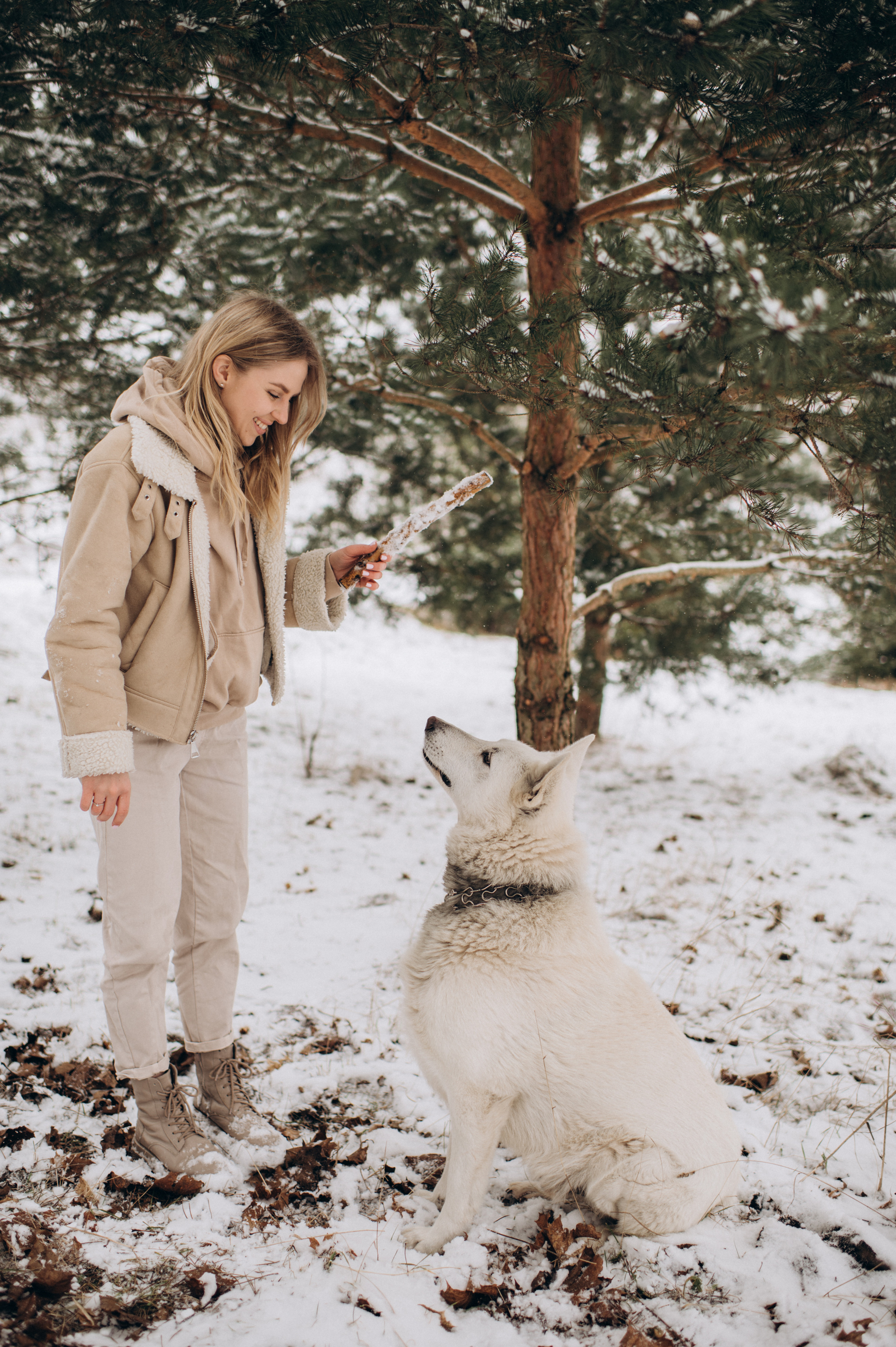 Зйомка з собакою Oleksandra & Volt. Сімейний, дитячий та індивідуальний фотограф в м. Тернопіль, м. Львів
