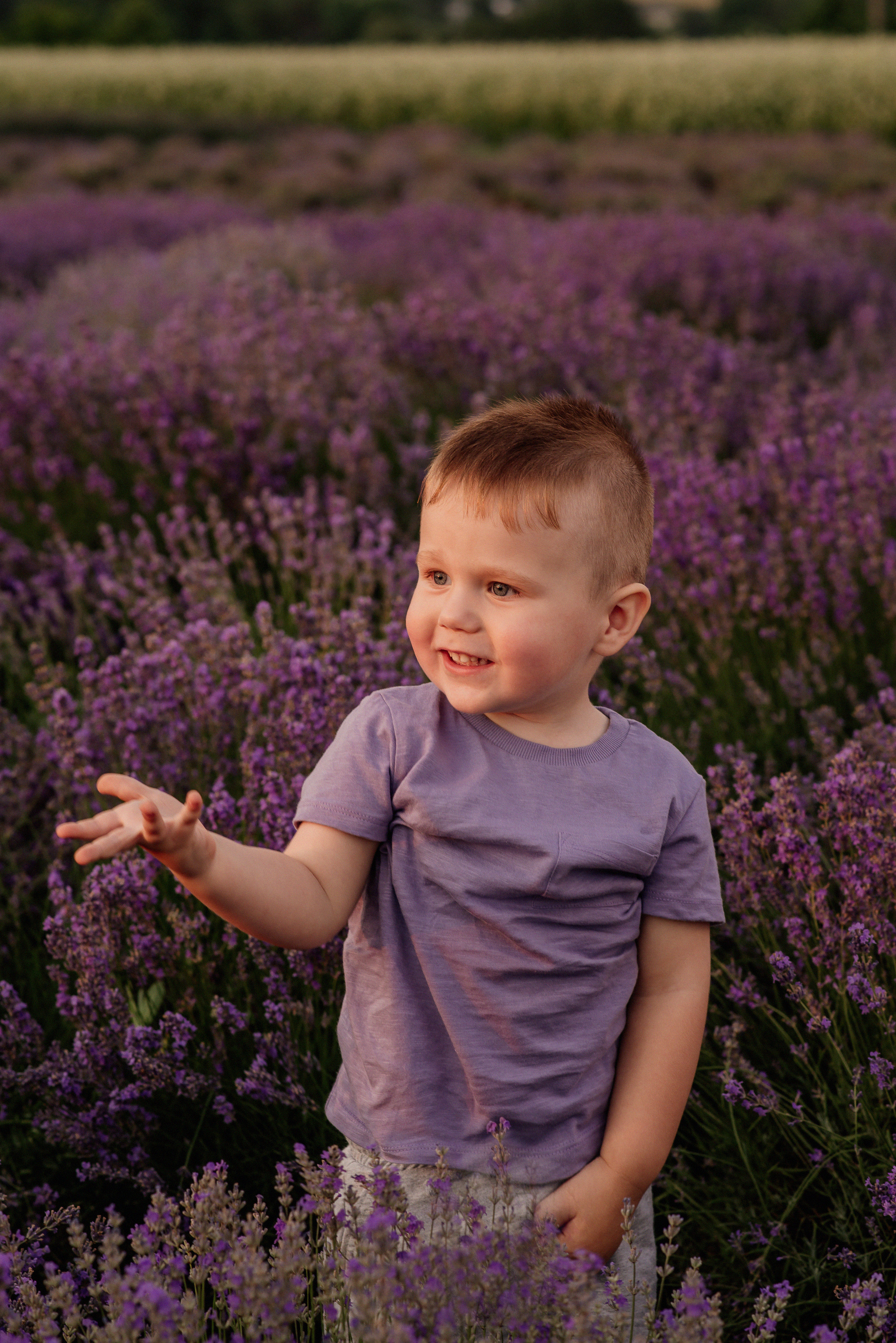 Сімейна фотосесія в лаванді. Микола, Христина, Марк, Макар, Меланія. Сімейний, дитячий та індивідуальний фотограф в м. Тернопіль, м. Львів