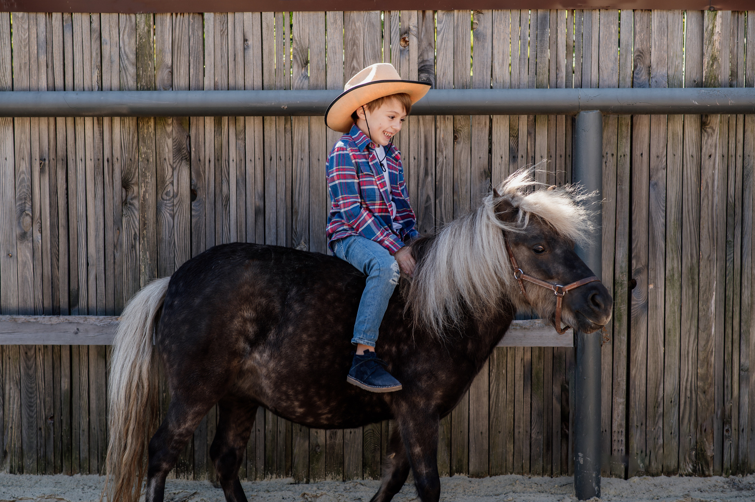 Сімейна фотосесія з кониками. Тернопіль. Сімейний, дитячий та індивідуальний фотограф в м. Тернопіль, м. Львів