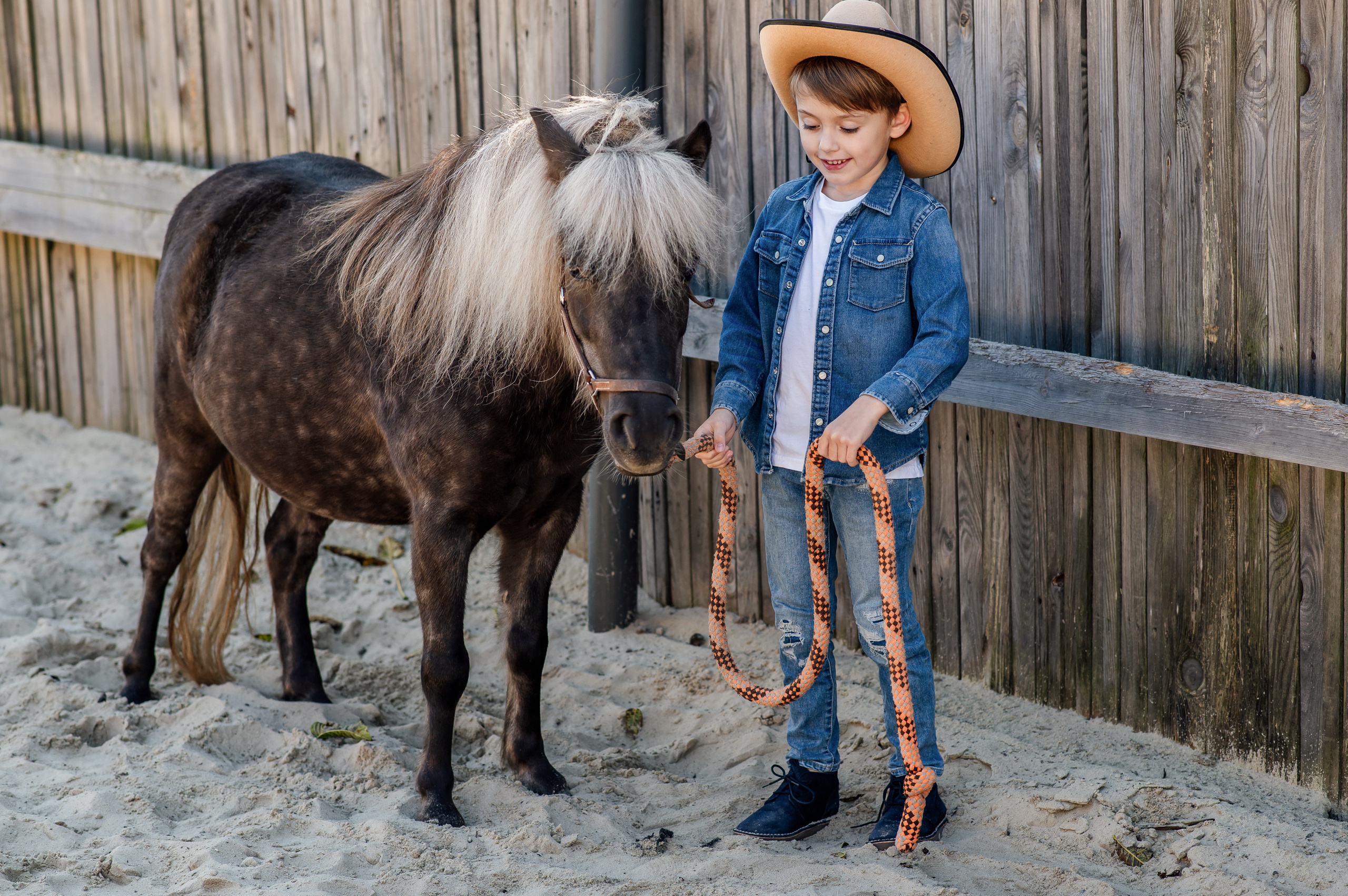 Сімейна фотосесія з кониками. Тернопіль. Сімейний, дитячий та індивідуальний фотограф в м. Тернопіль, м. Львів