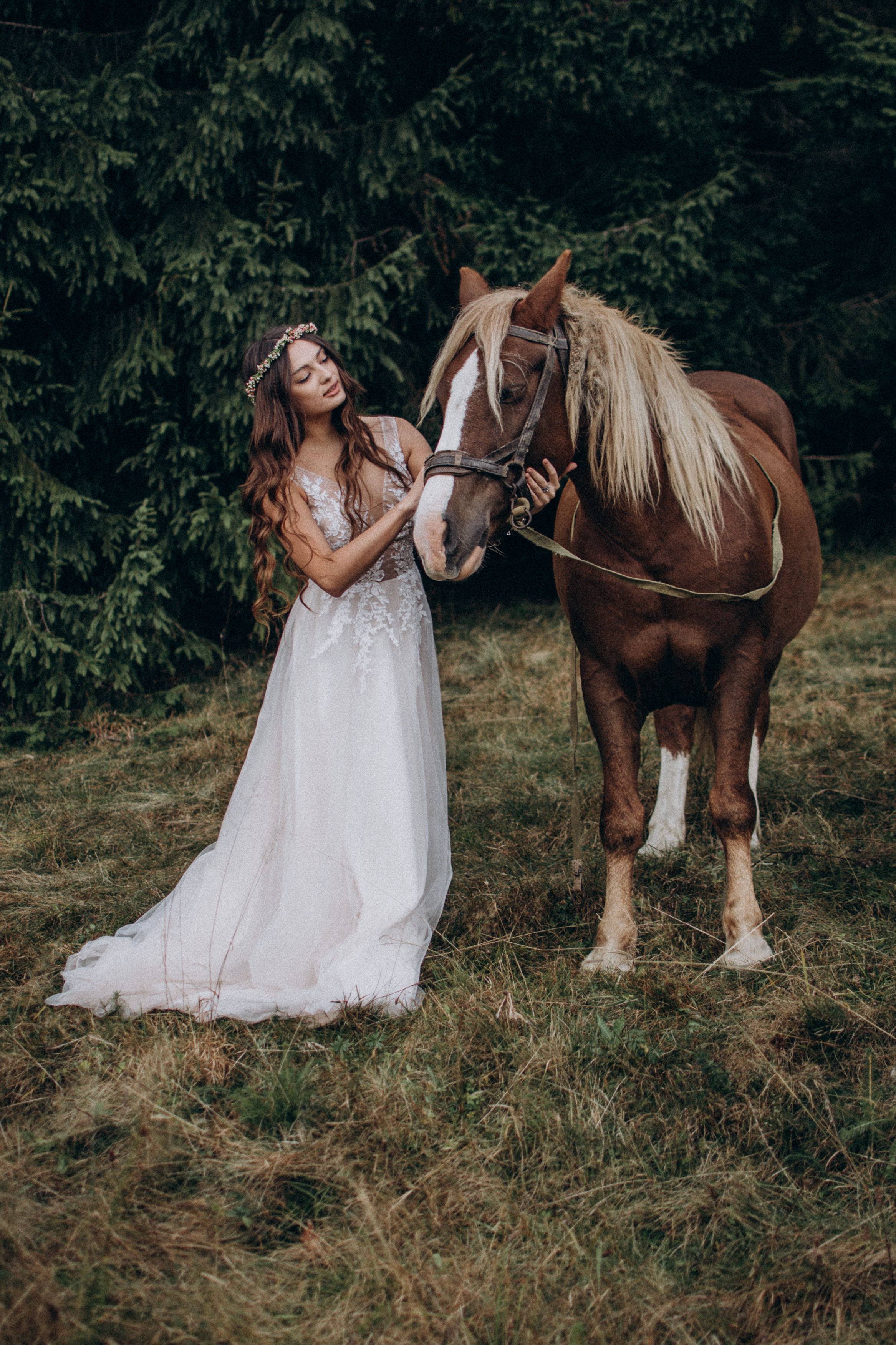 Весільна фотосесія Тернопіль, весільний фотограф Тернопіль, фотосесія розпису РАЦС Тернопіль Львів, весільна зйомка Тернопіль. Сімейний, дитячий та індивідуальний фотограф в м. Тернопіль, м. Львів