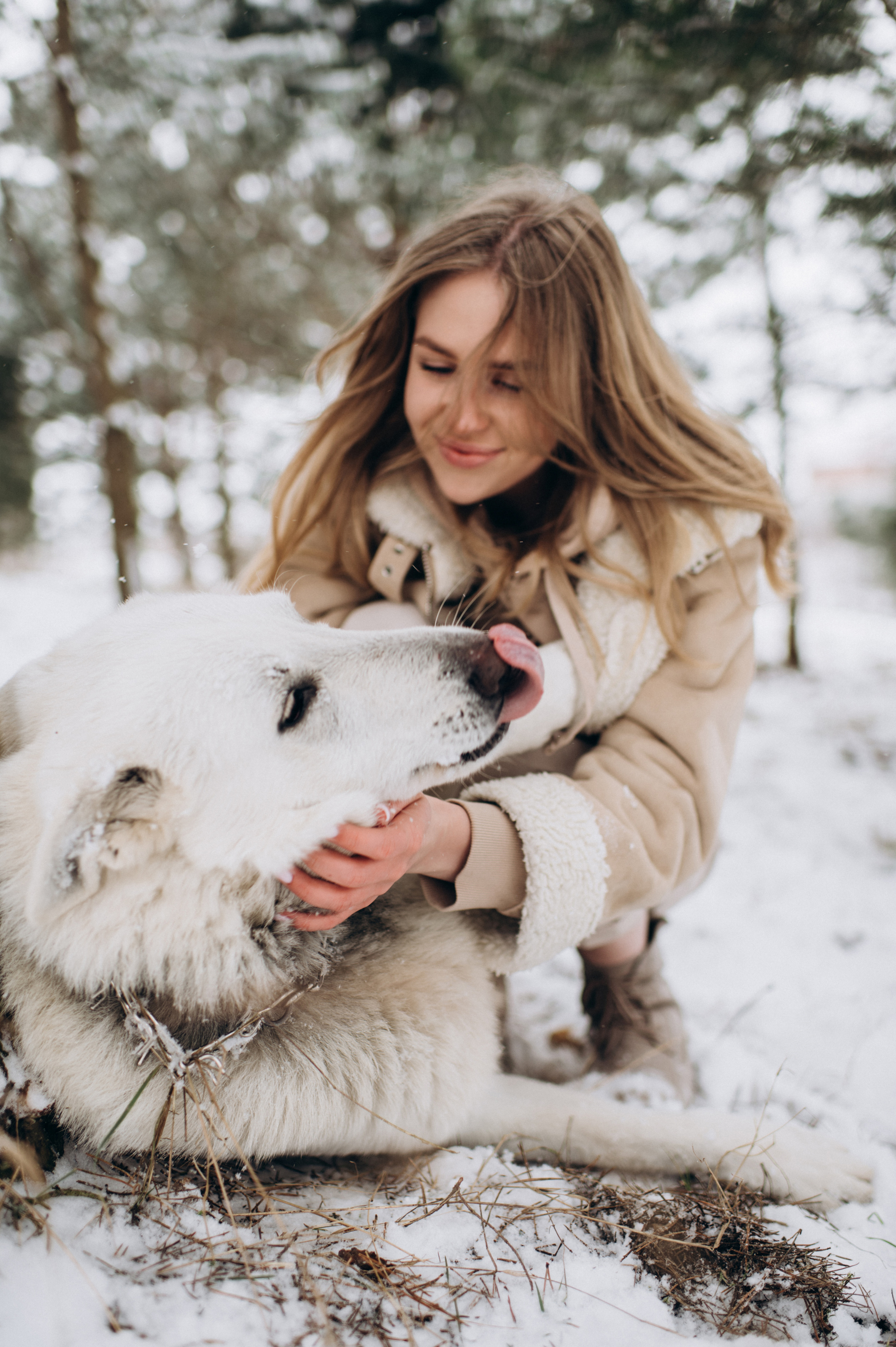 Зйомка з собакою Oleksandra & Volt. Сімейний, дитячий та індивідуальний фотограф в м. Тернопіль, м. Львів