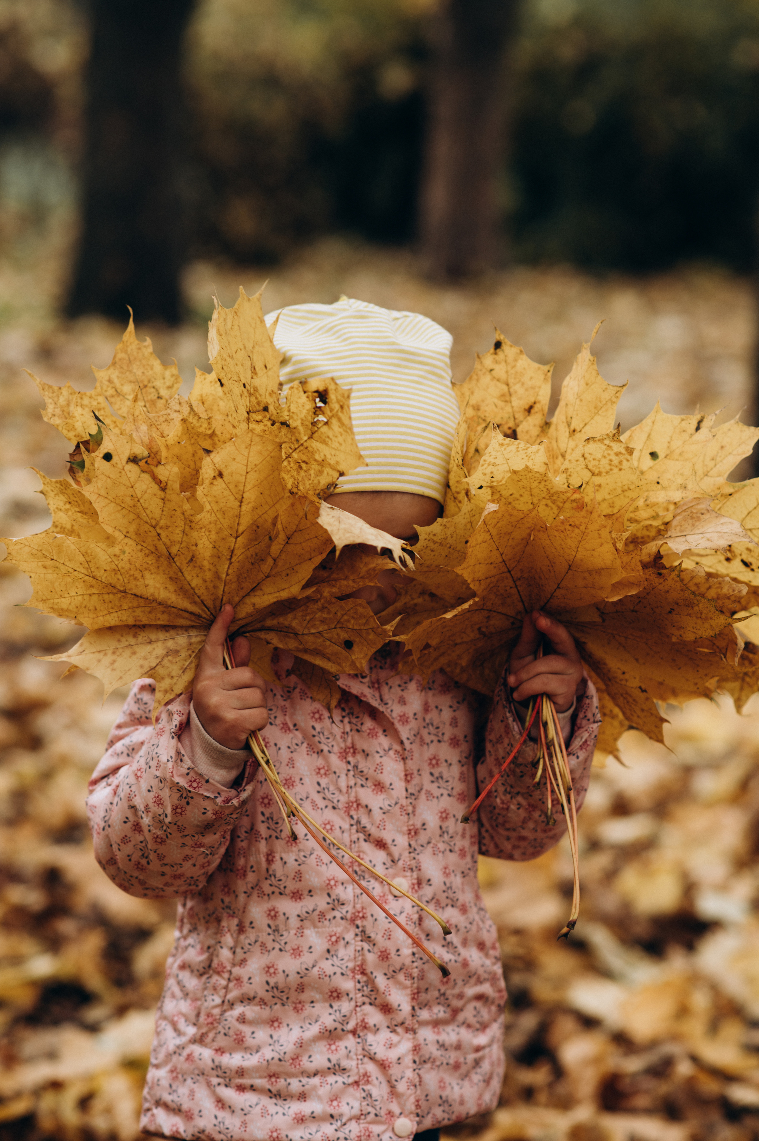 Осіння сімейна фотосесія. Сімейний, дитячий та індивідуальний фотограф в м. Тернопіль, м. Львів