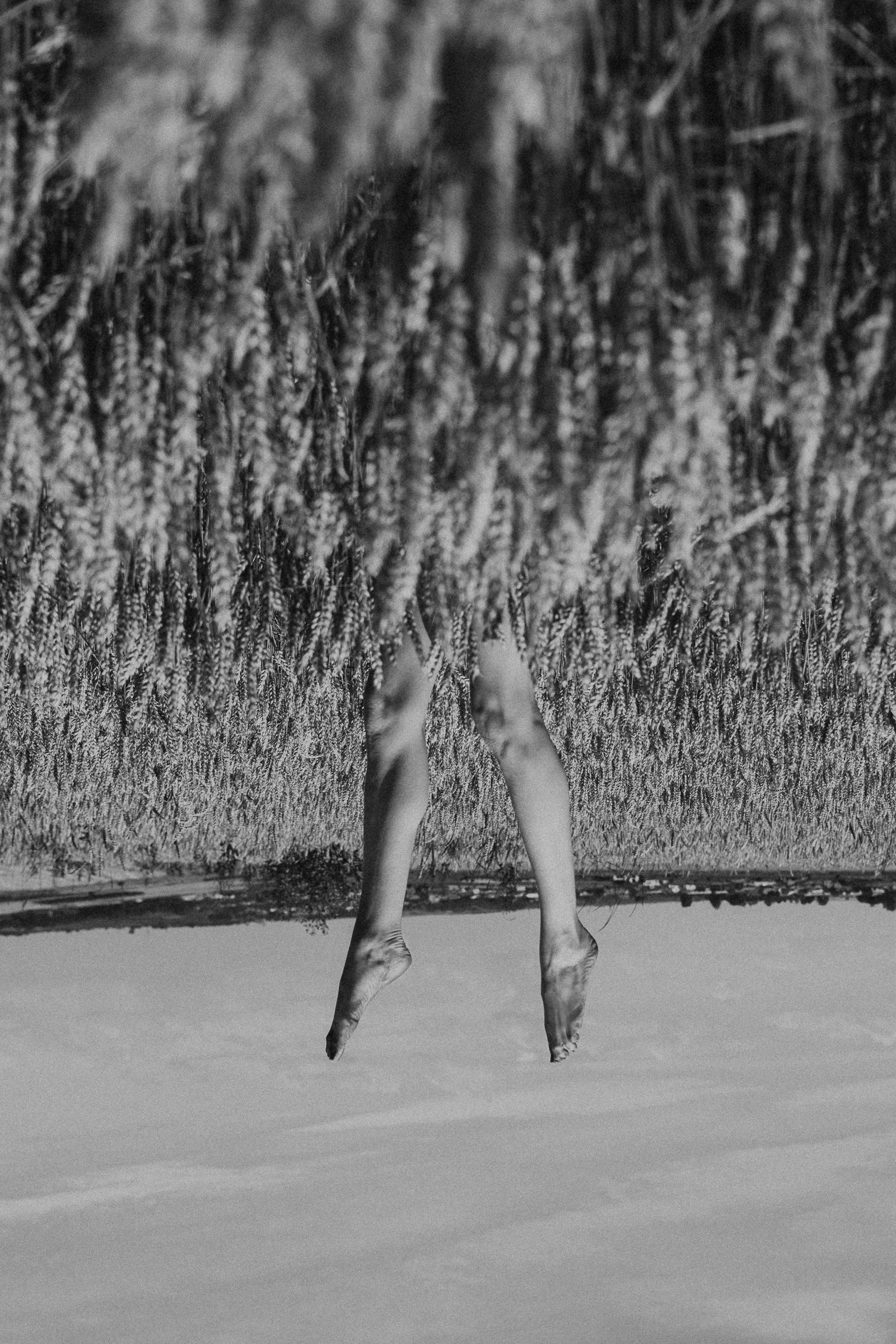 Фотосесія в пшениці. Тернопільська обл. Сімейний, дитячий та індивідуальний фотограф в м. Тернопіль, м. Львів