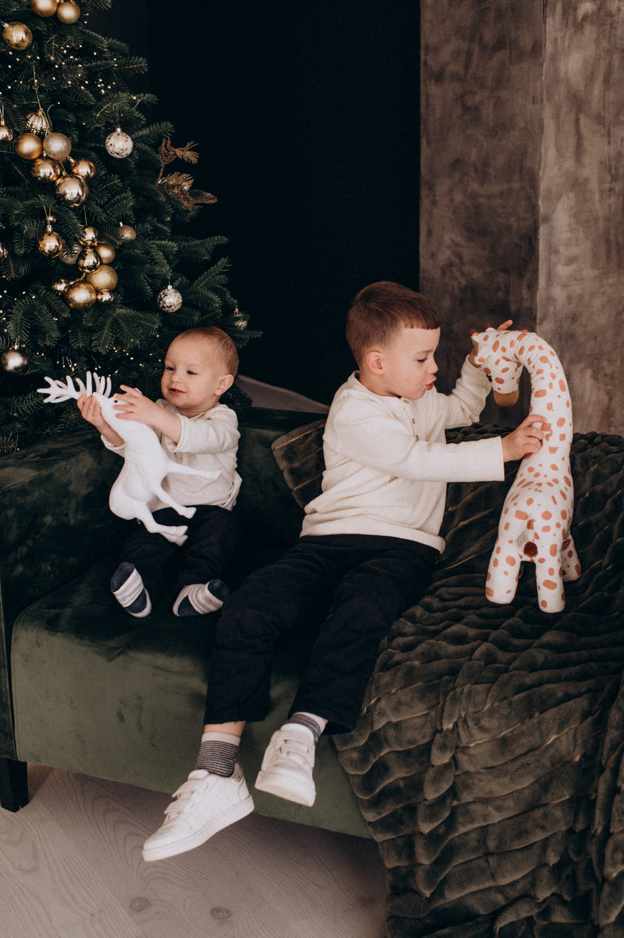 Новорічна фотосесія у студії, фотосесія Львів, сімейна фотосесія Тернопіль. Сімейний, дитячий та індивідуальний фотограф в м. Тернопіль, м. Львів