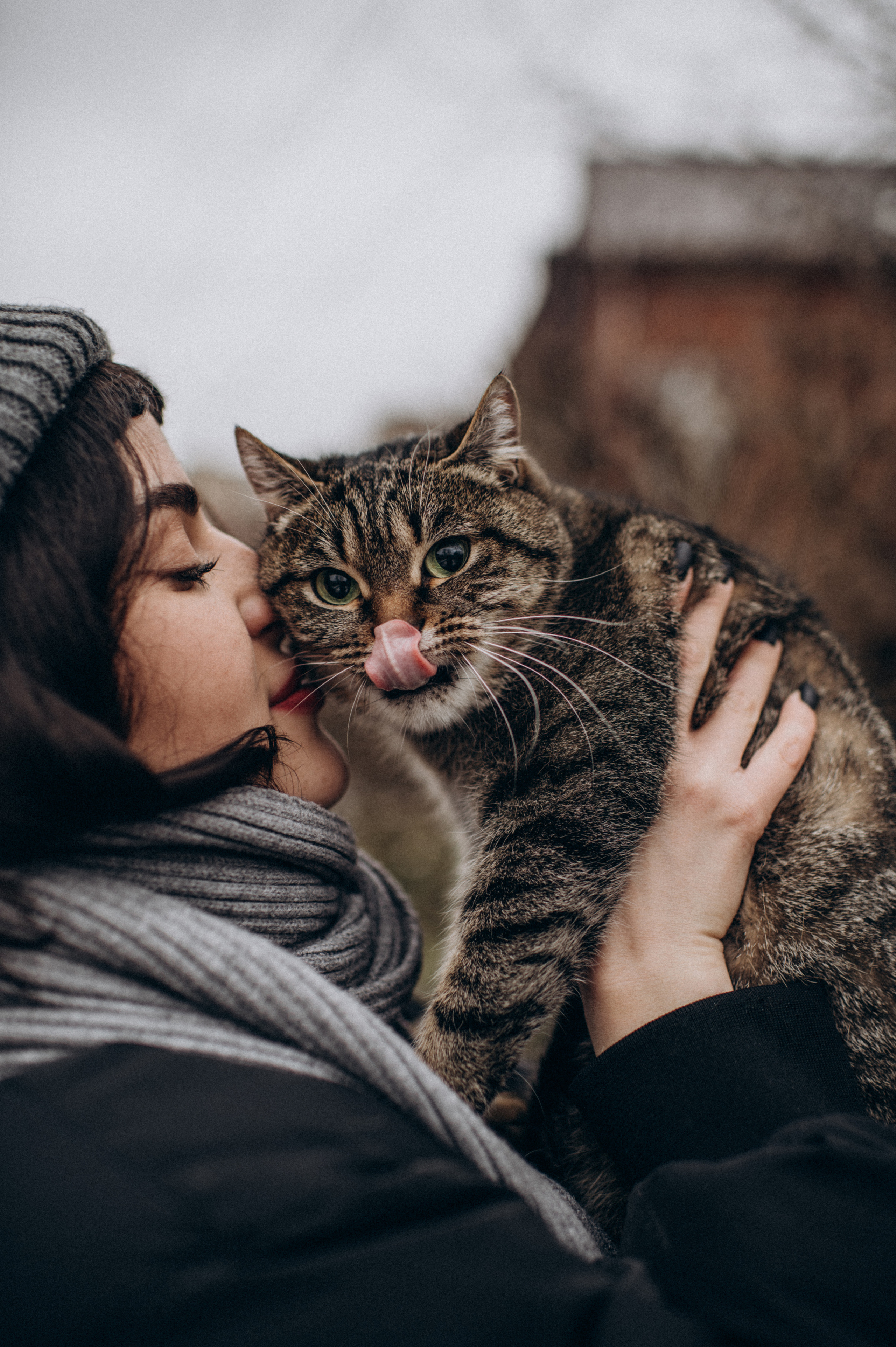 Фотосесія з котиком. Сімейний, дитячий та індивідуальний фотограф в м. Тернопіль, м. Львів