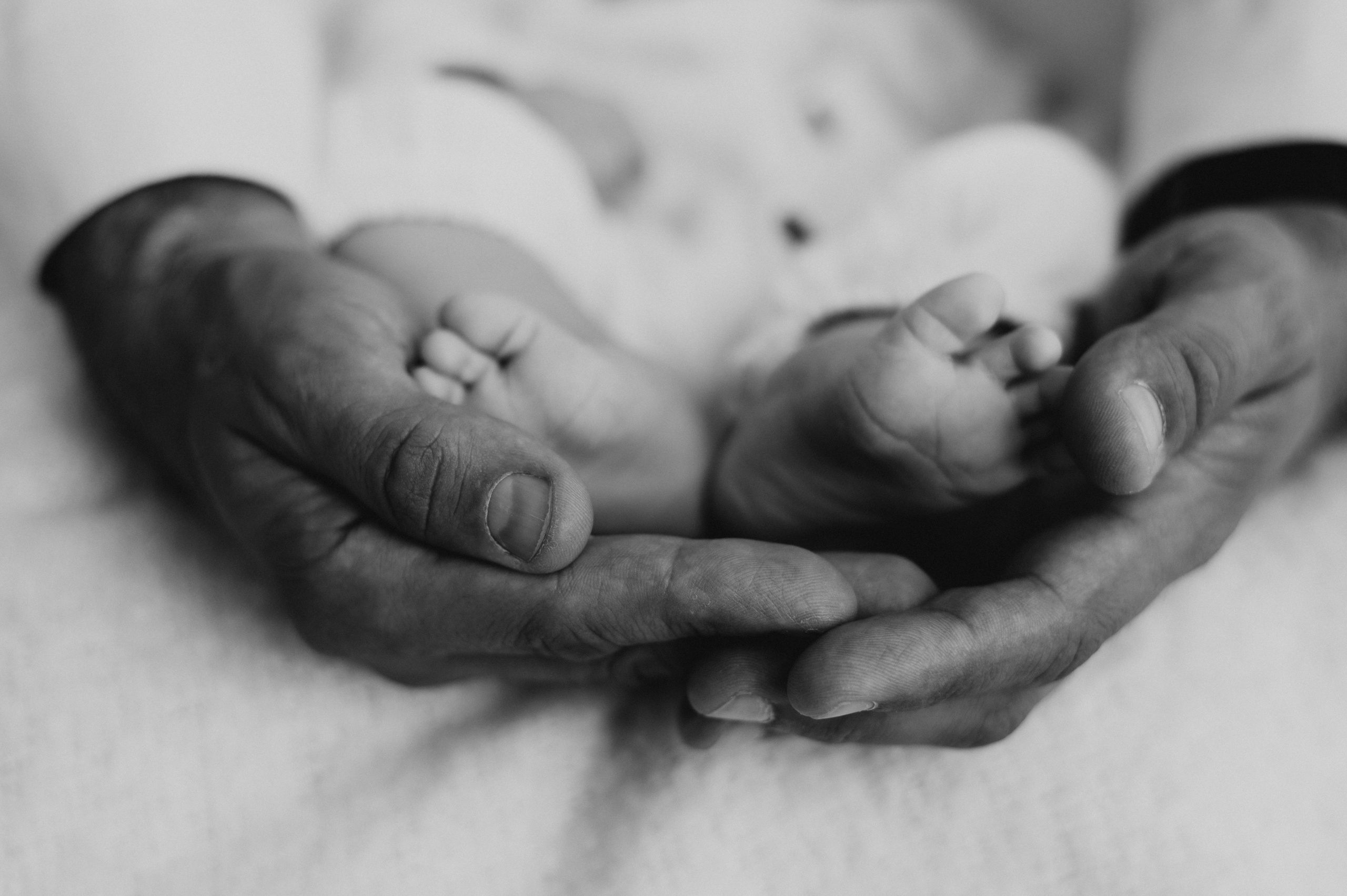 Сімейна фотосесія, сімейний фотограф Тернопіль, дитячий фотограф, сімейна зйомка. Сімейний, дитячий та індивідуальний фотограф в м. Тернопіль, м. Львів