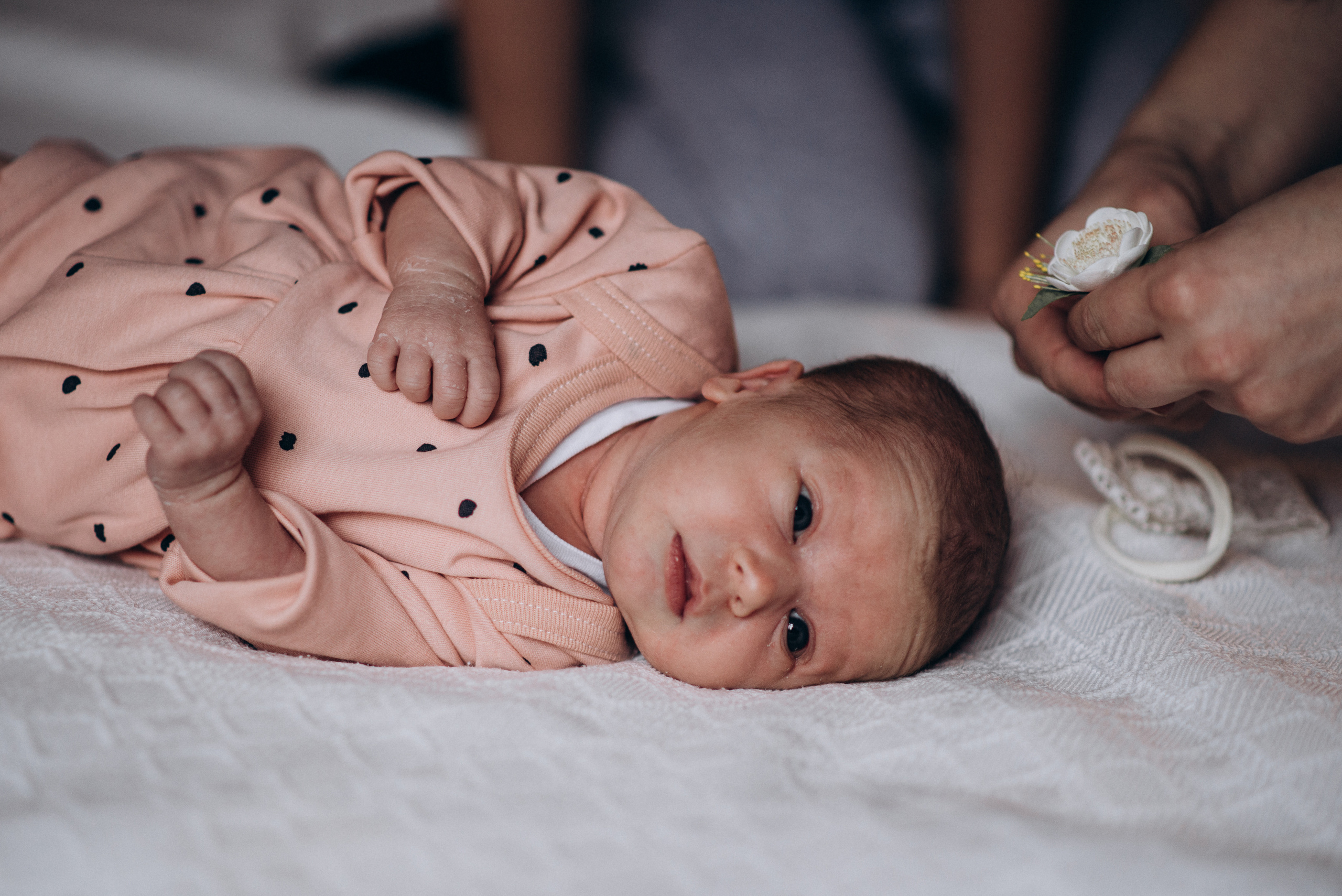 Фотосесія новонароджених Тернопіль, фотосесія newborn, фотосесія ньюборн Тернопіль, фотосесія немовлят, сімейний фотограф Тернопіль. Сімейний, дитячий та індивідуальний фотограф в м. Тернопіль, м. Львів