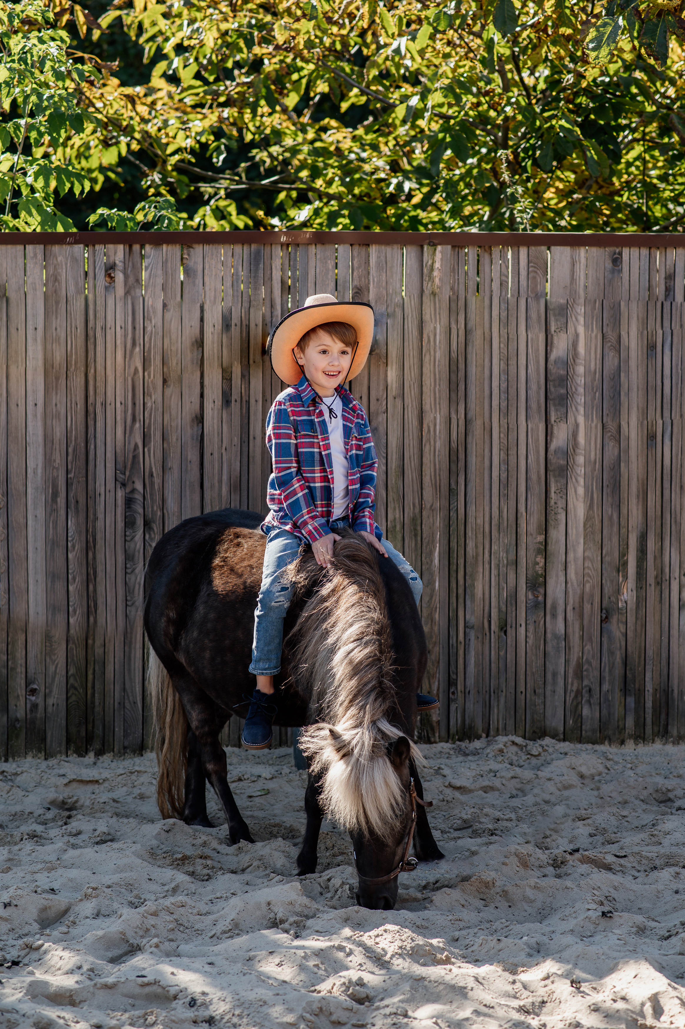 Сімейна фотосесія з кониками. Тернопіль. Сімейний, дитячий та індивідуальний фотограф в м. Тернопіль, м. Львів