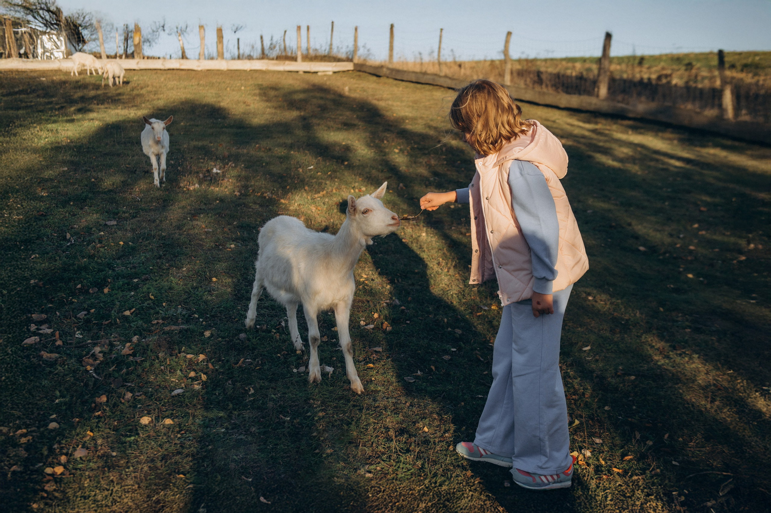 Дитячий фотограф Тернопіль, фотосесія дітей, фотосесія на природі, зйомка у Веселі козенята, фотосесія дня народження Тернопіль. Сімейний, дитячий та індивідуальний фотограф в м. Тернопіль, м. Львів