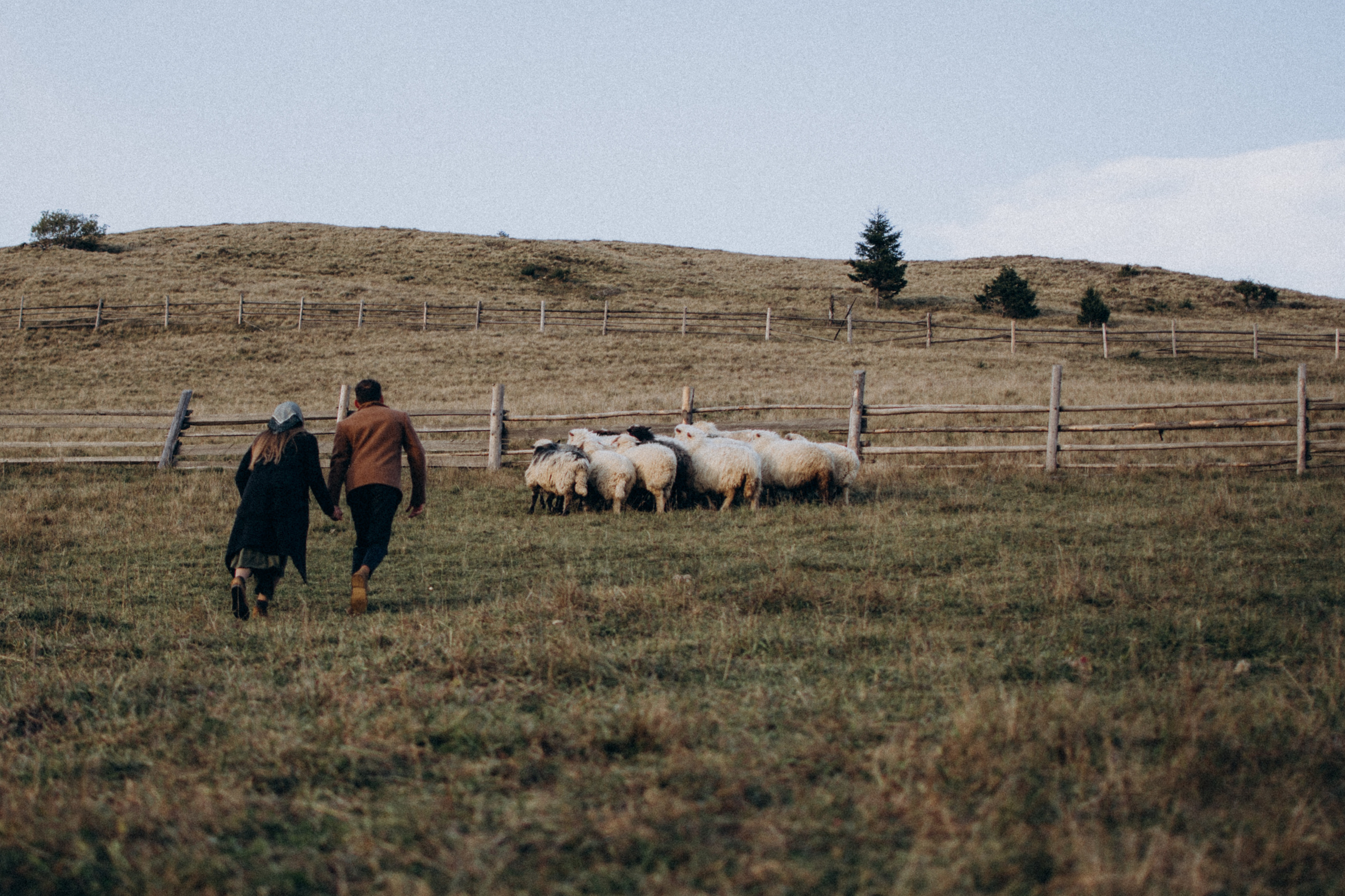 Love story in Carpathians. Сімейний, дитячий та індивідуальний фотограф в м. Тернопіль, м. Львів