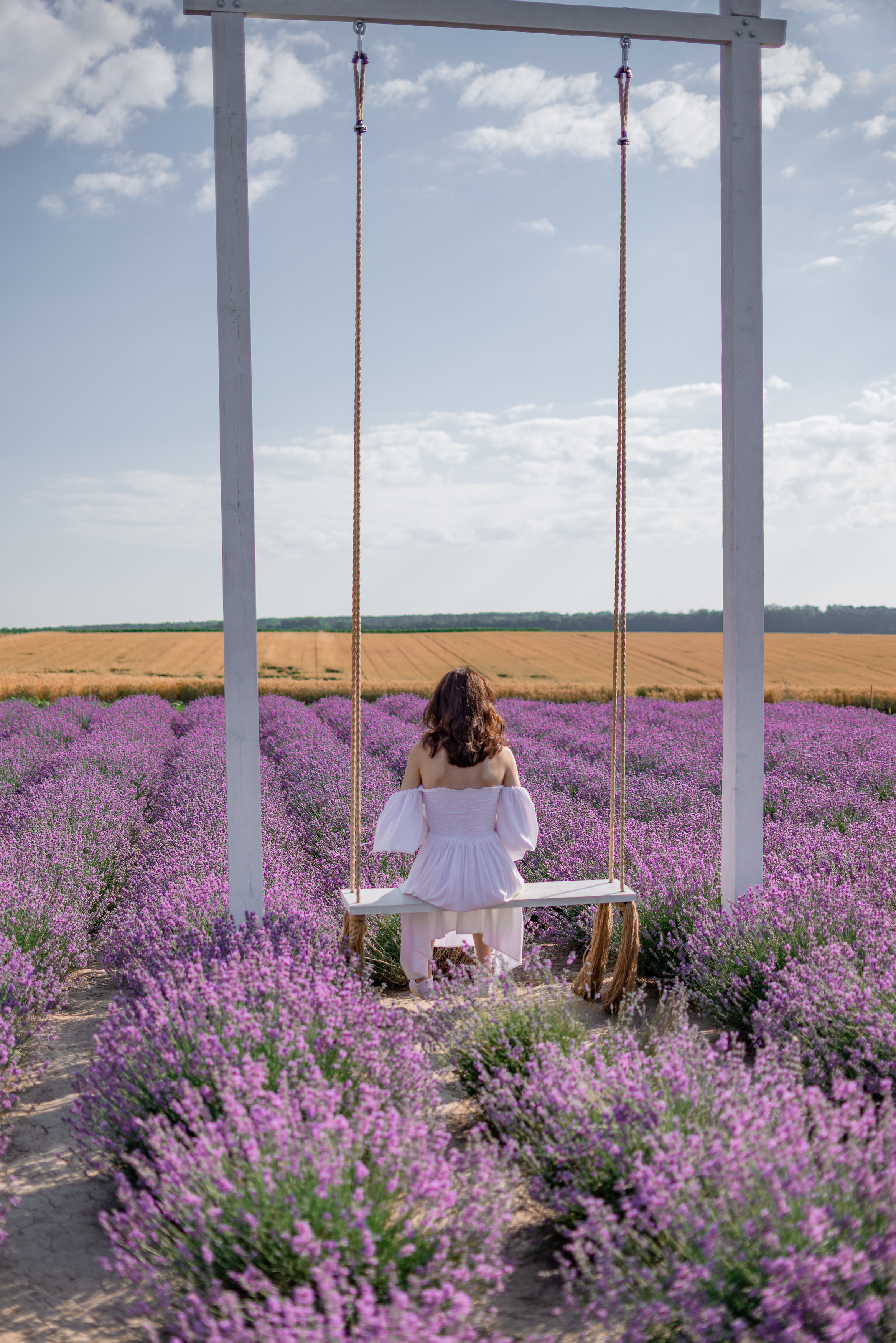 Сімейна фотосесія в лаванді. Андрій та Анастасія. Сімейний, дитячий та індивідуальний фотограф в м. Тернопіль, м. Львів