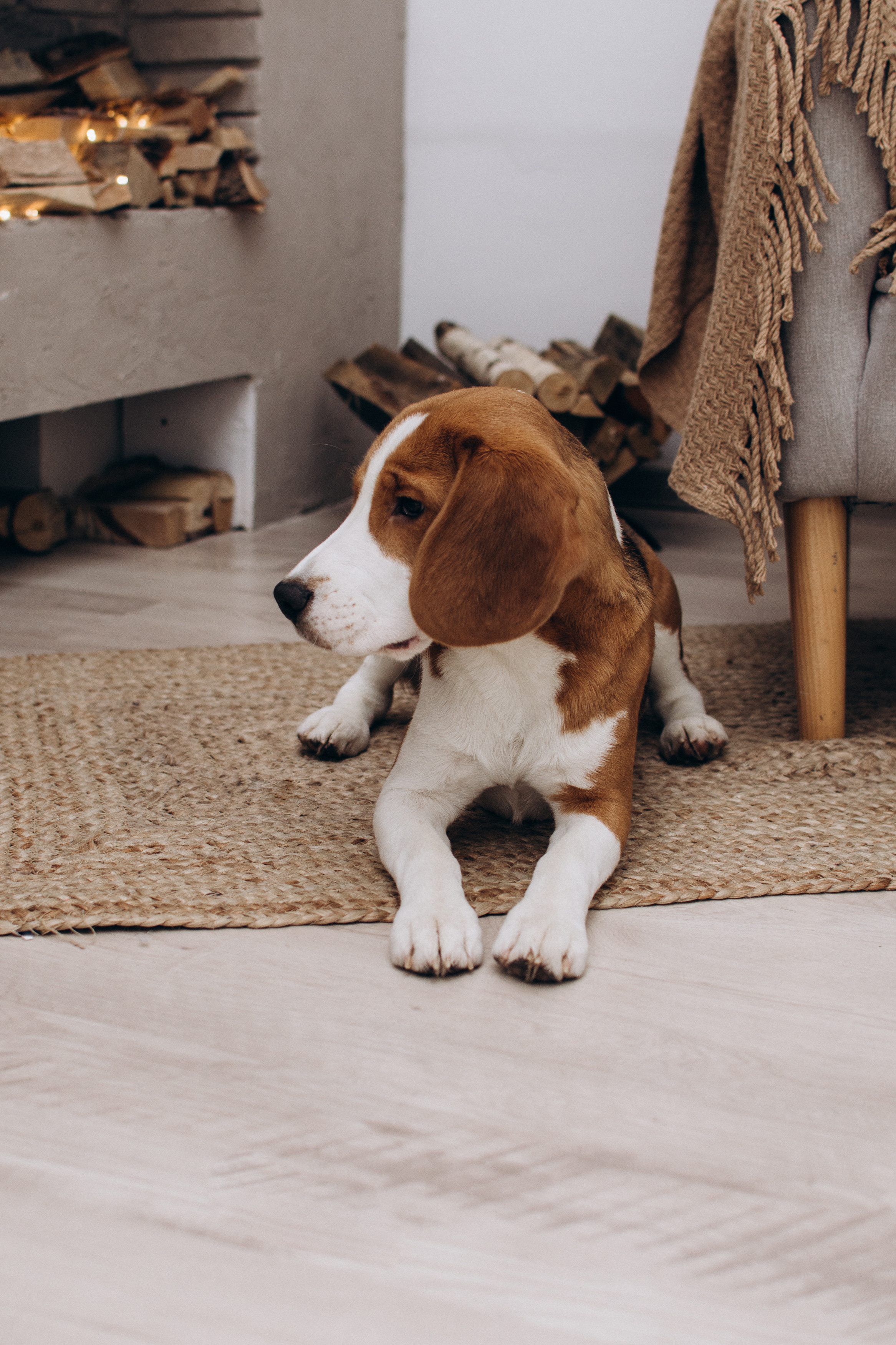Сімейний фотограф Тернопіль, сімейна фотосесія Львів, зйомка новонароджених Тернопіль. Сімейний, дитячий та індивідуальний фотограф в м. Тернопіль, м. Львів