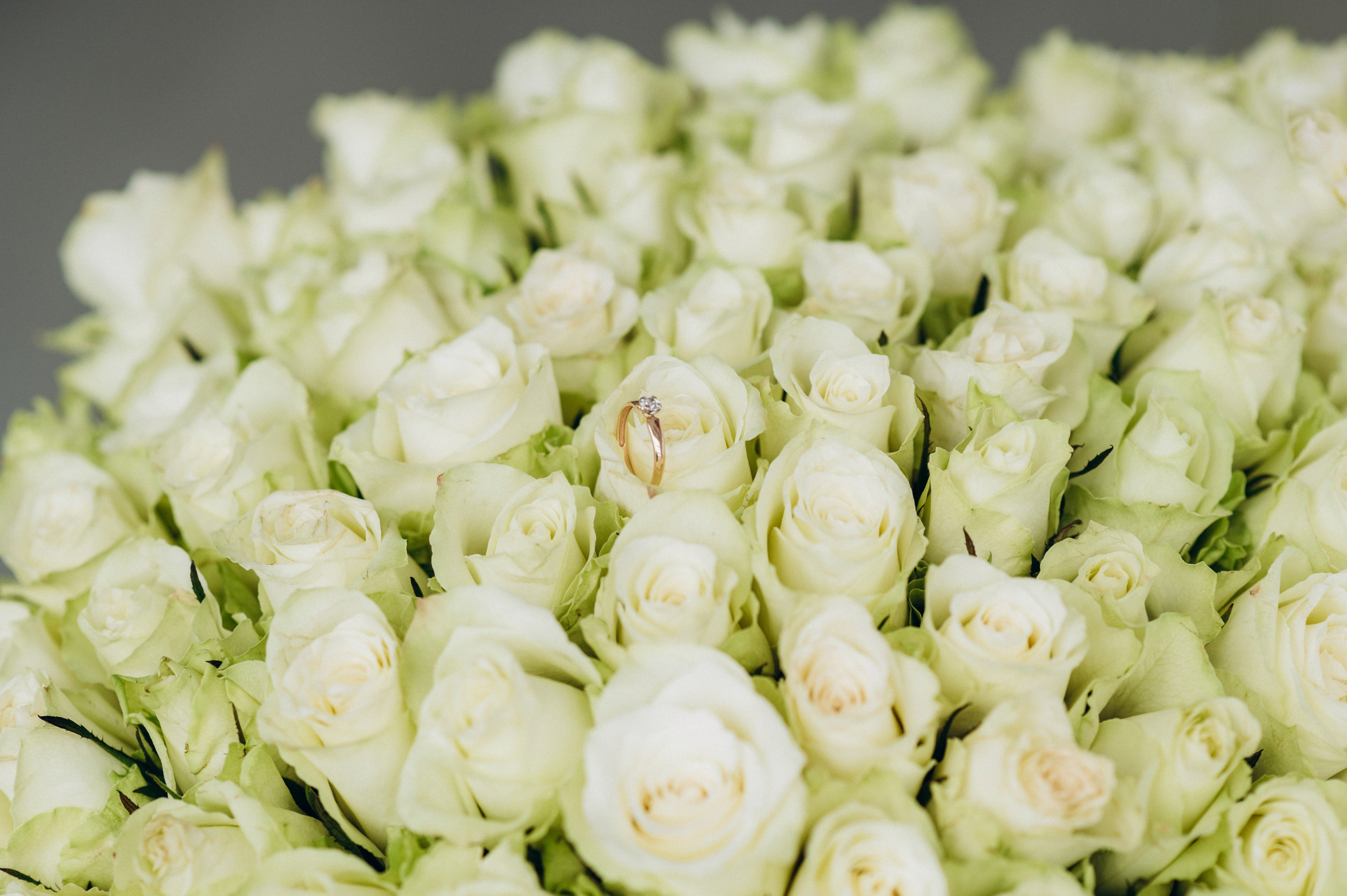 Зйомка освідчення, фотосесія освідчення Тернопіль Сімейна фотосесія Тернопіль, сімейний фотограф Тернопіль, сімейна зйомка Тернопіль. Сімейний, дитячий та індивідуальний фотограф в м. Тернопіль, м. Львів