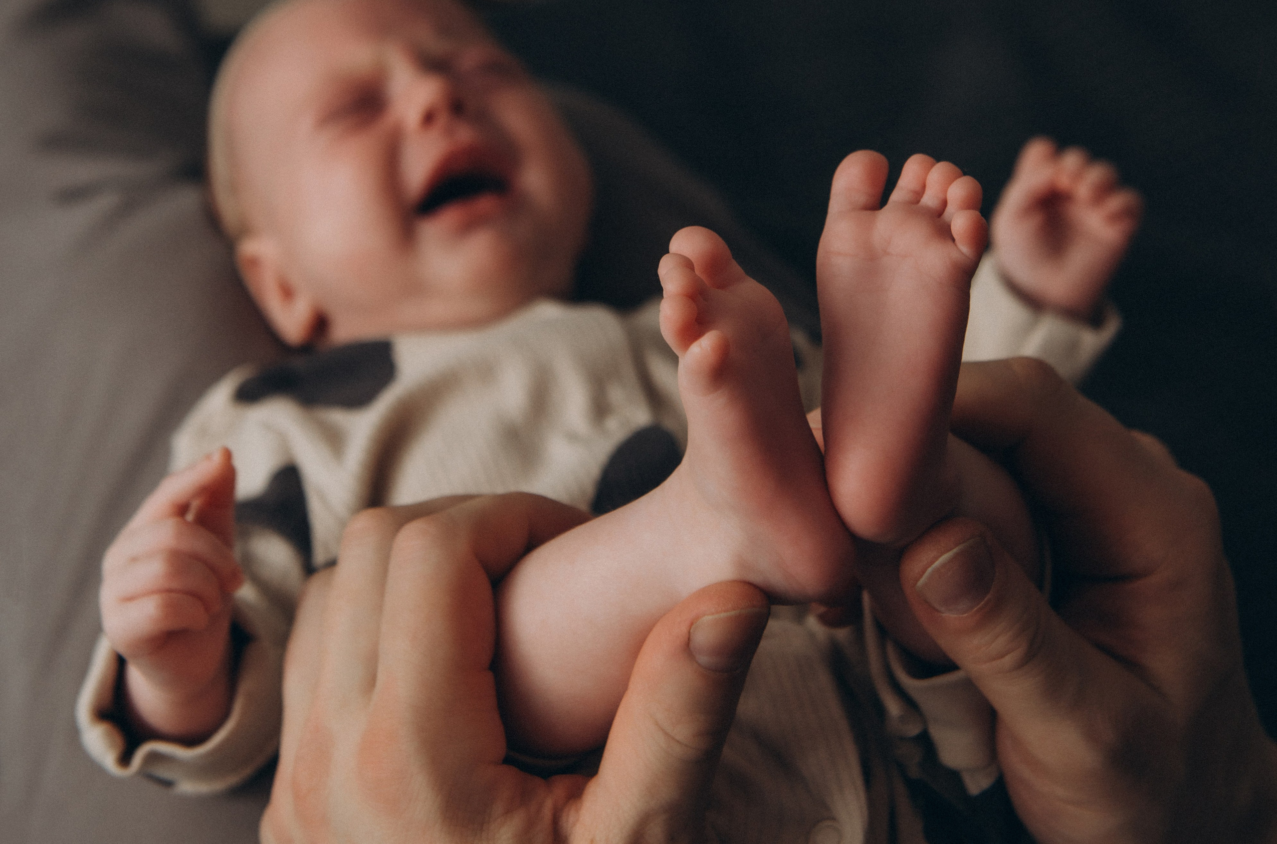 Сімейна фотосесія вдома Тернопіль, сімейний фотограф Львів Тернопіль, сімейна фотосесія Тернопіль, фотосесія двійні, зйомка близнюків. Сімейний, дитячий та індивідуальний фотограф в м. Тернопіль, м. Львів