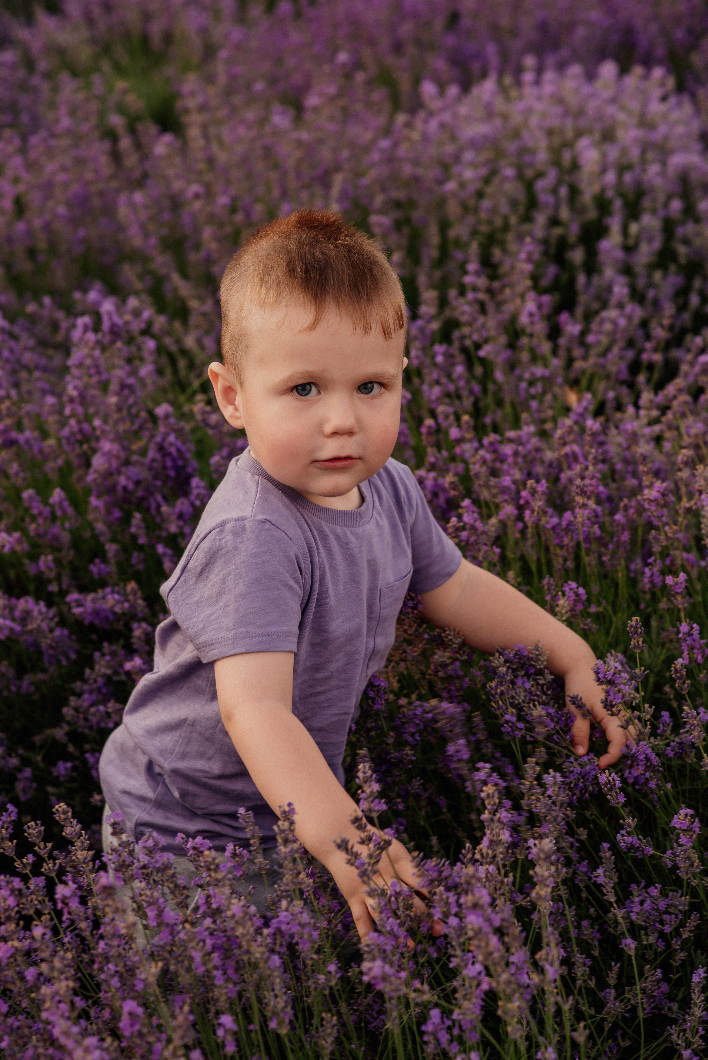 Сімейна фотосесія в лаванді. Микола, Христина, Марк, Макар, Меланія. Сімейний, дитячий та індивідуальний фотограф в м. Тернопіль, м. Львів
