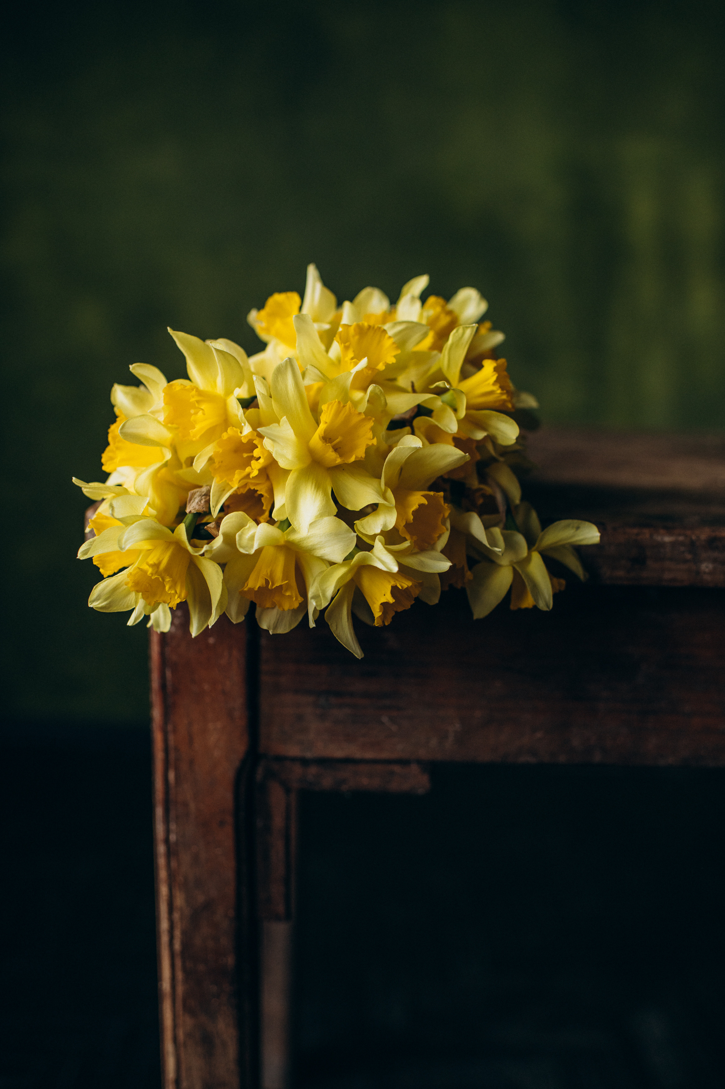 Kateryna. Сімейний, дитячий та індивідуальний фотограф в м. Тернопіль, м. Львів