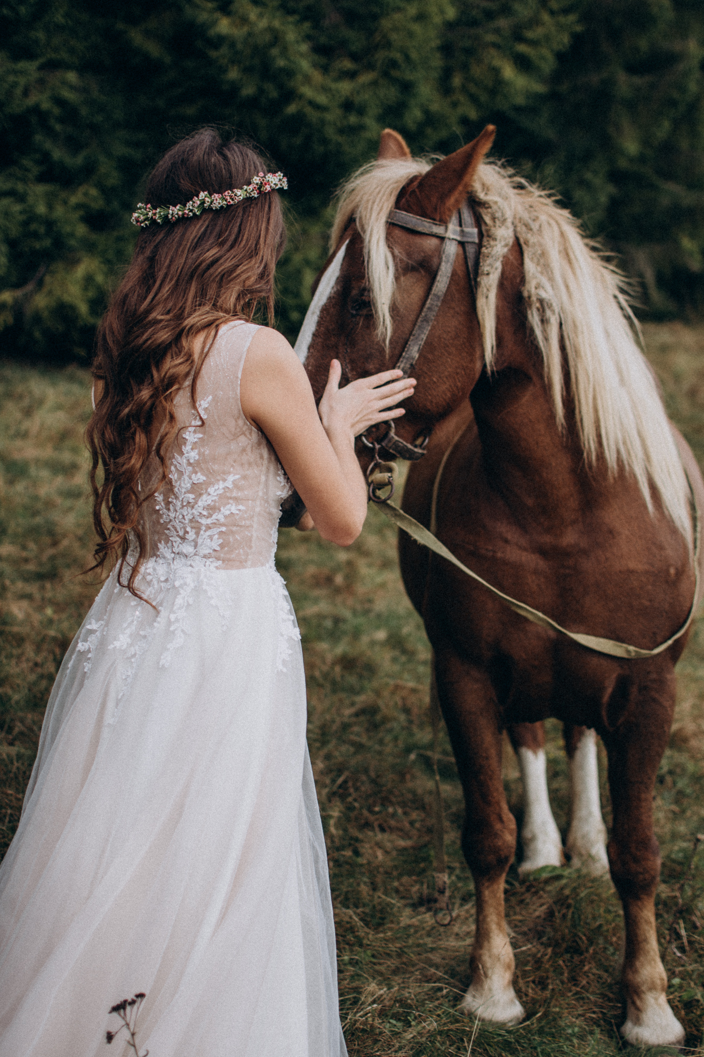 Весільна прогулянка в осінніх Карпатах. Сімейний, дитячий та індивідуальний фотограф в м. Тернопіль, м. Львів