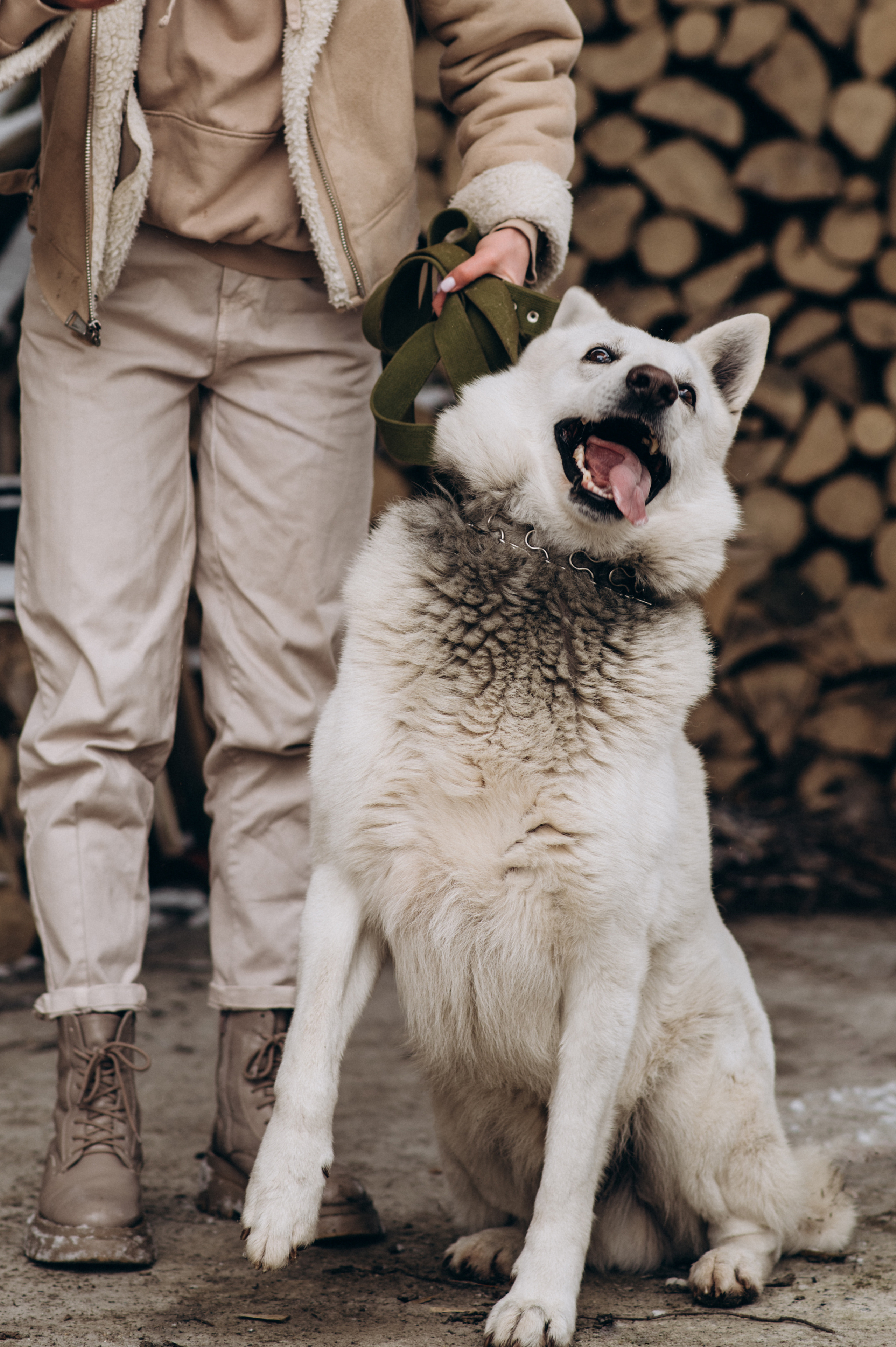 Зйомка з собакою Oleksandra & Volt. Сімейний, дитячий та індивідуальний фотограф в м. Тернопіль, м. Львів