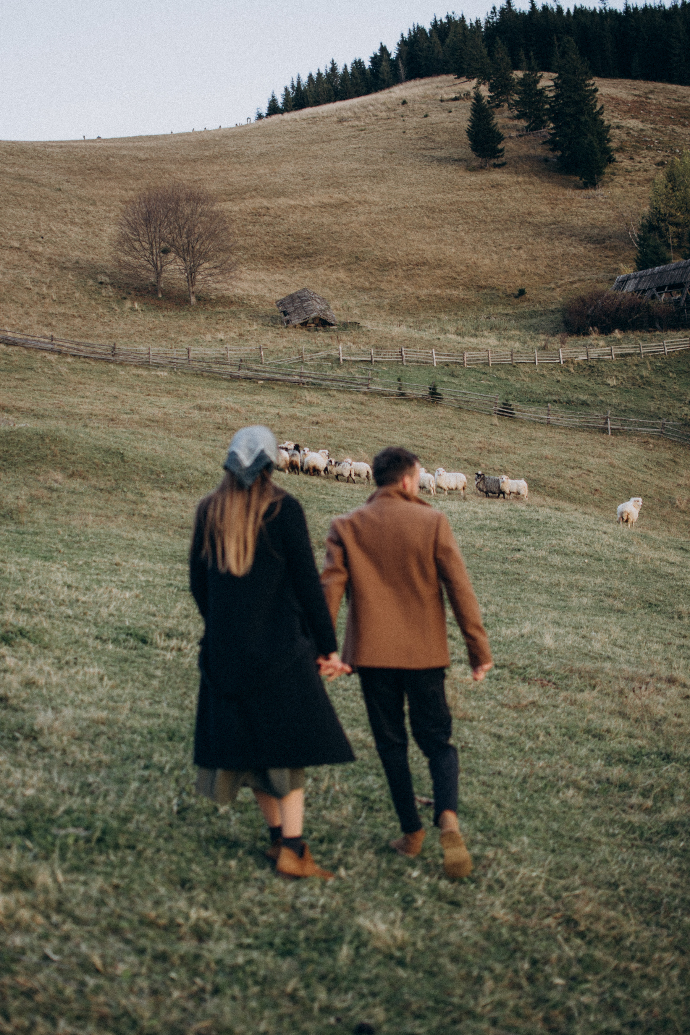 Love story in Carpathians. Сімейний, дитячий та індивідуальний фотограф в м. Тернопіль, м. Львів