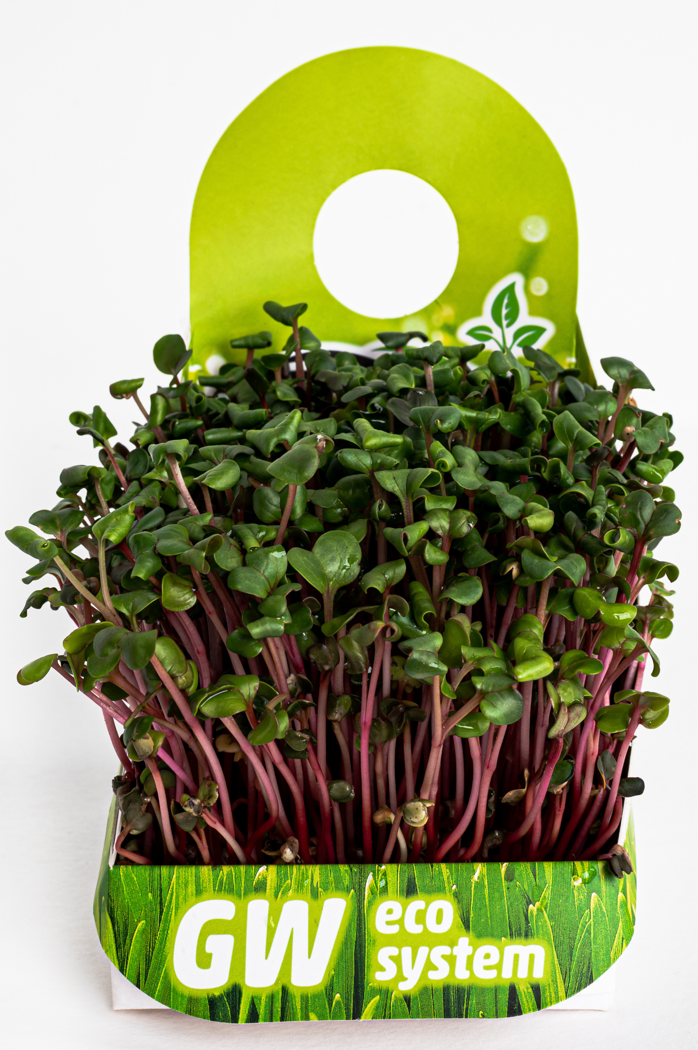 Предметні фото. Сімейний, дитячий та індивідуальний фотограф в м. Тернопіль, м. Львів