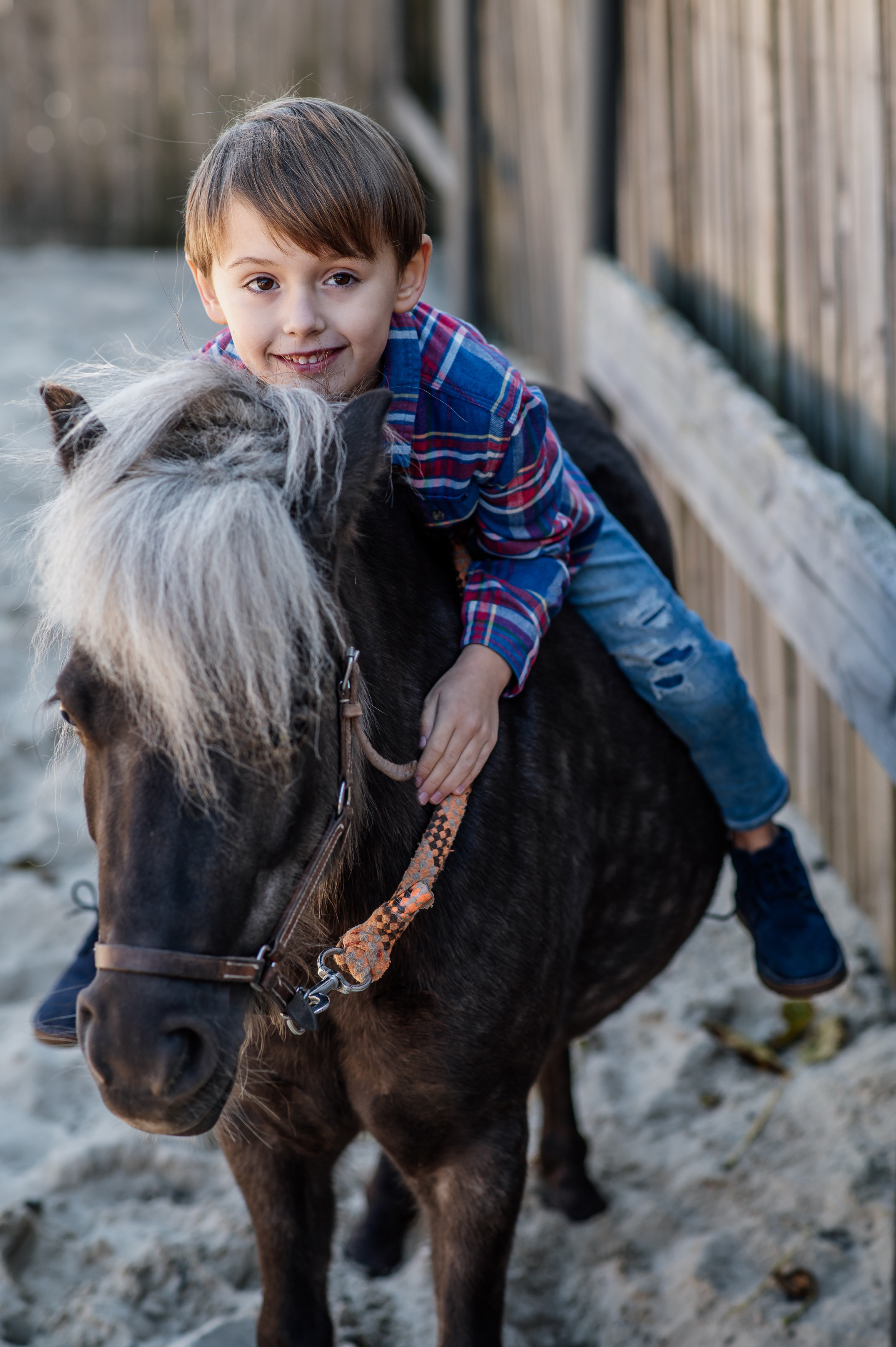 Сімейна фотосесія з кониками. Тернопіль. Сімейний, дитячий та індивідуальний фотограф в м. Тернопіль, м. Львів