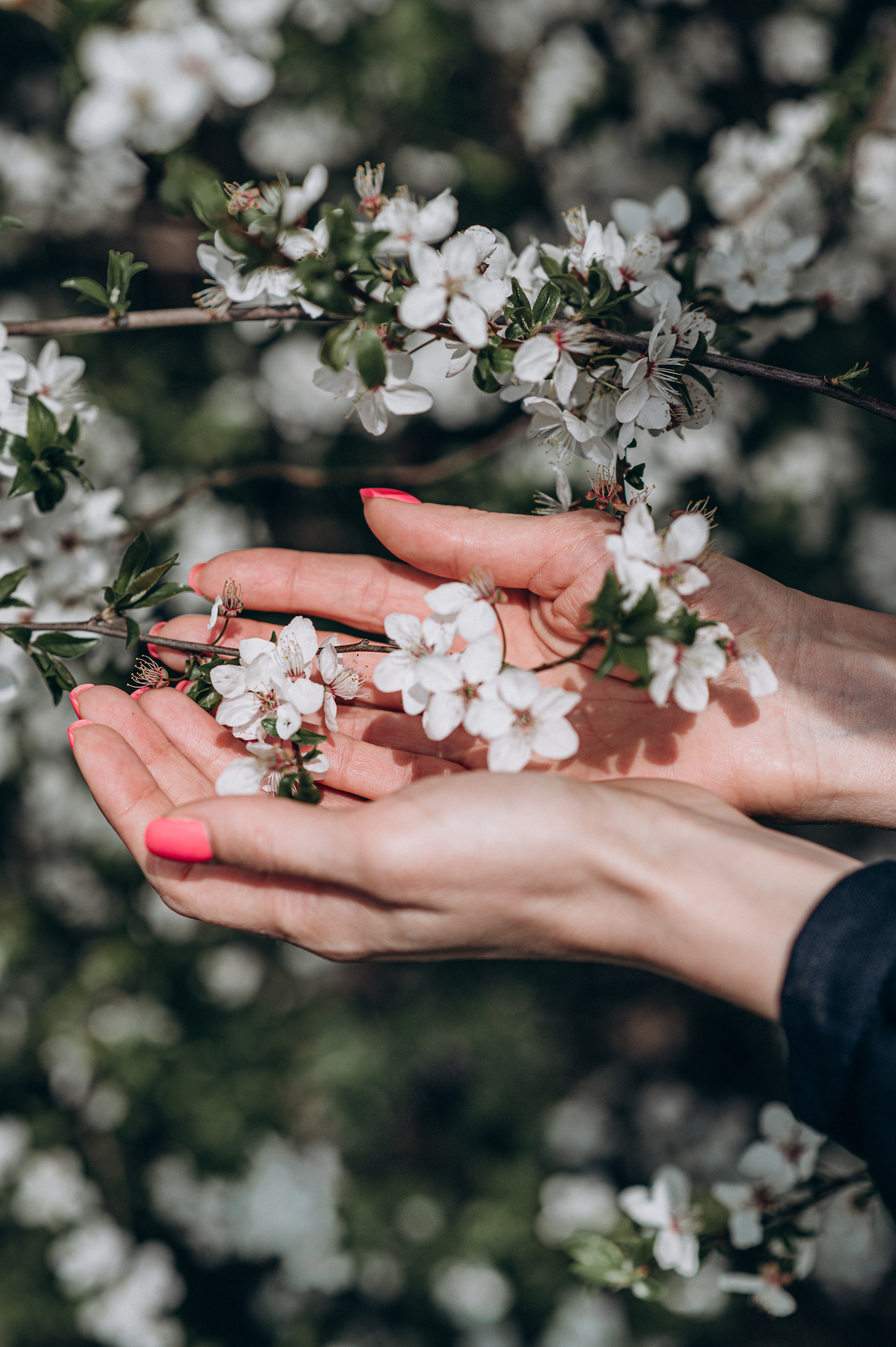 Nataliya. Сімейний, дитячий та індивідуальний фотограф в м. Тернопіль, м. Львів