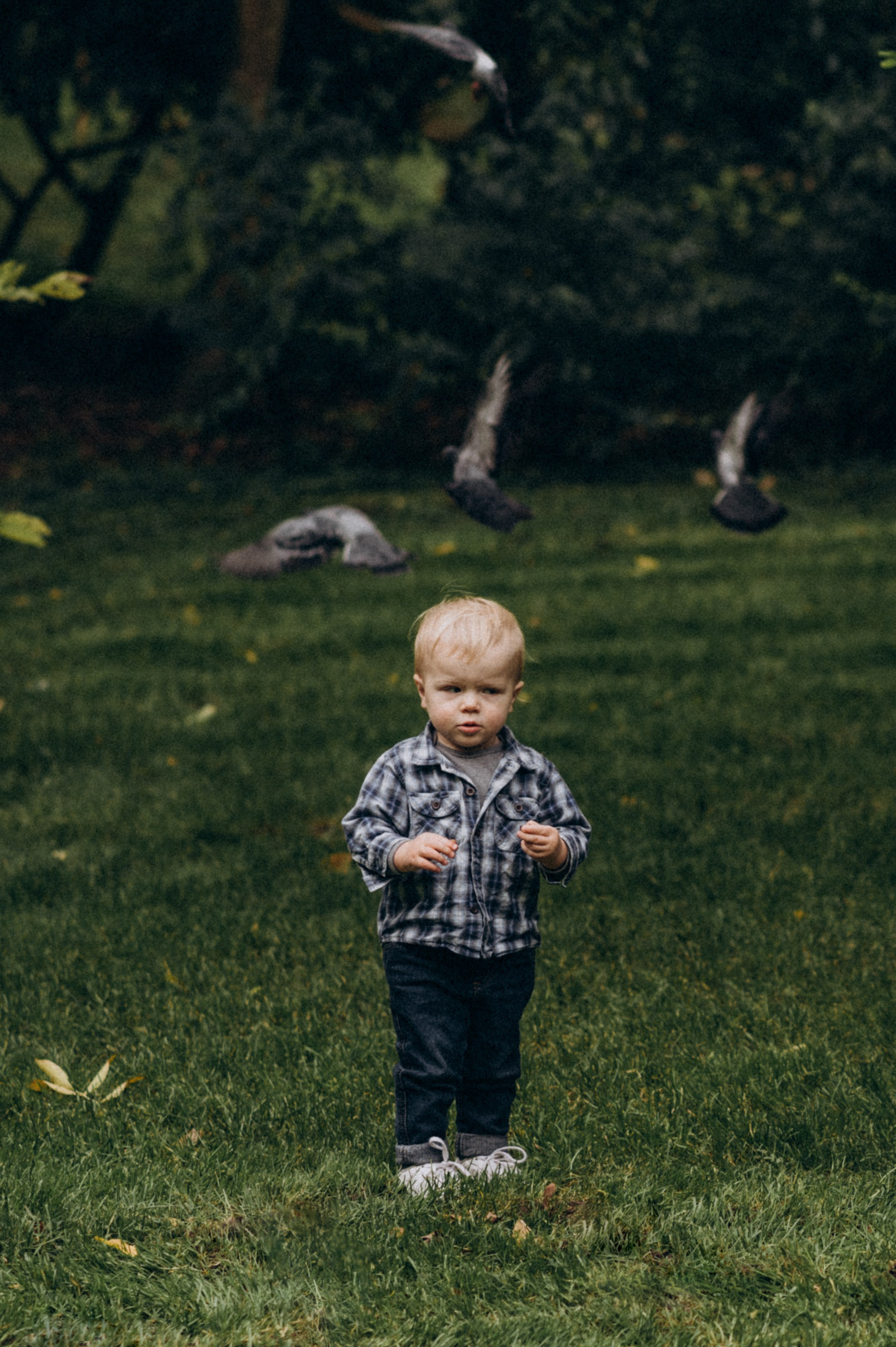 Сімейна фотосесія Львів сімейна зйомка Львів. Сімейний, дитячий та індивідуальний фотограф в м. Тернопіль, м. Львів